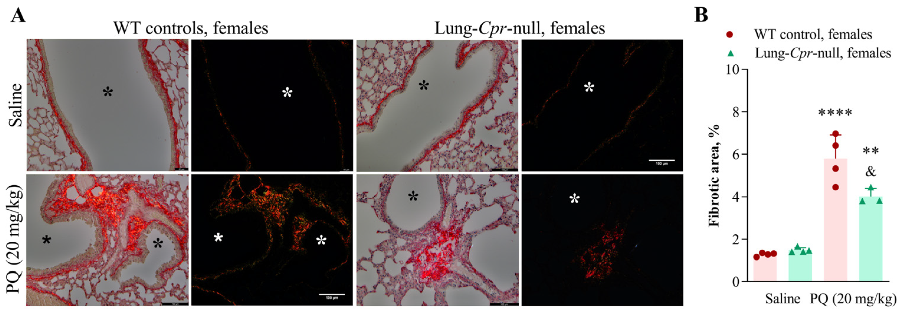 Antioxidants 11 00219 g004