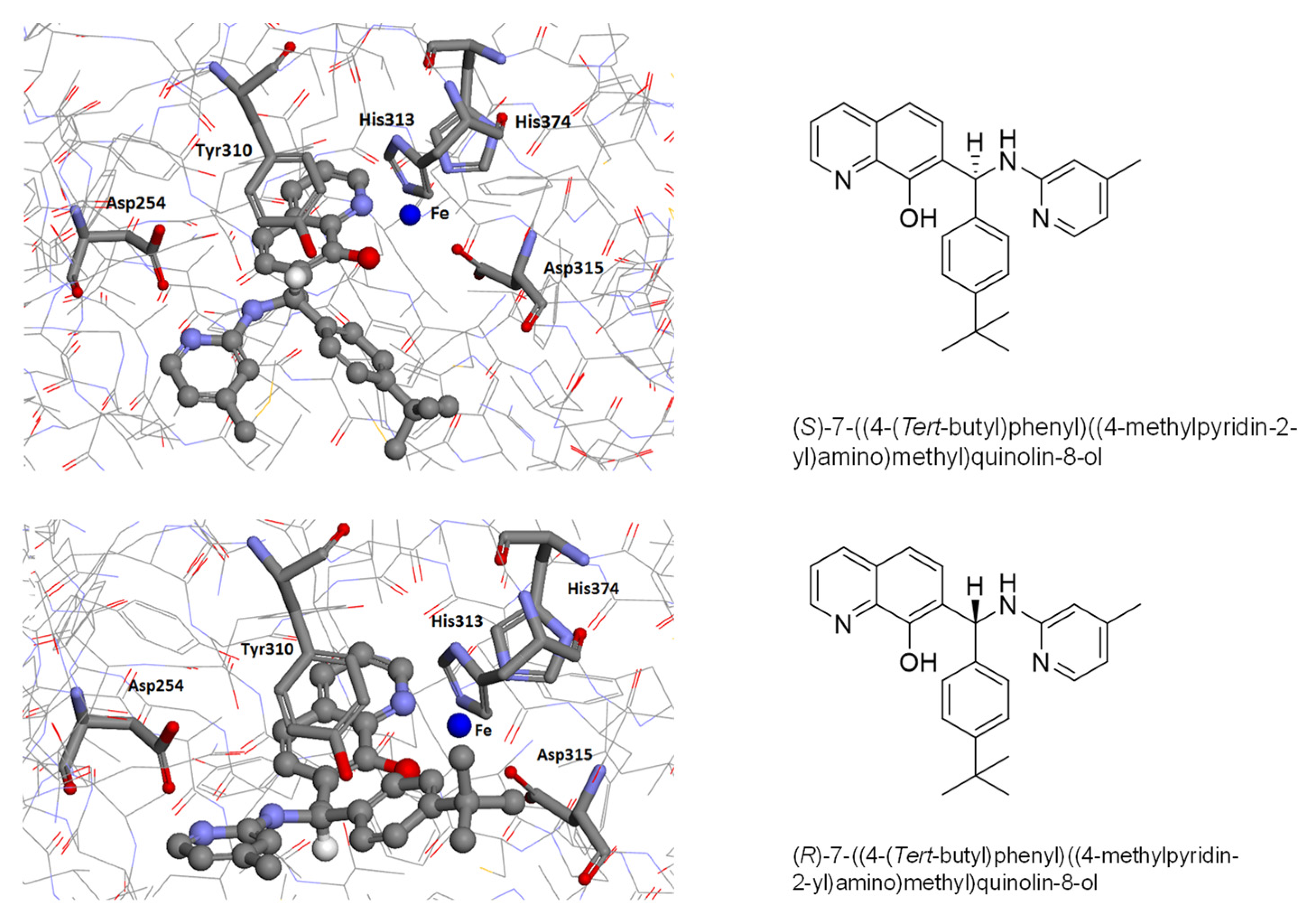 Antioxidants 11 00220 g004
