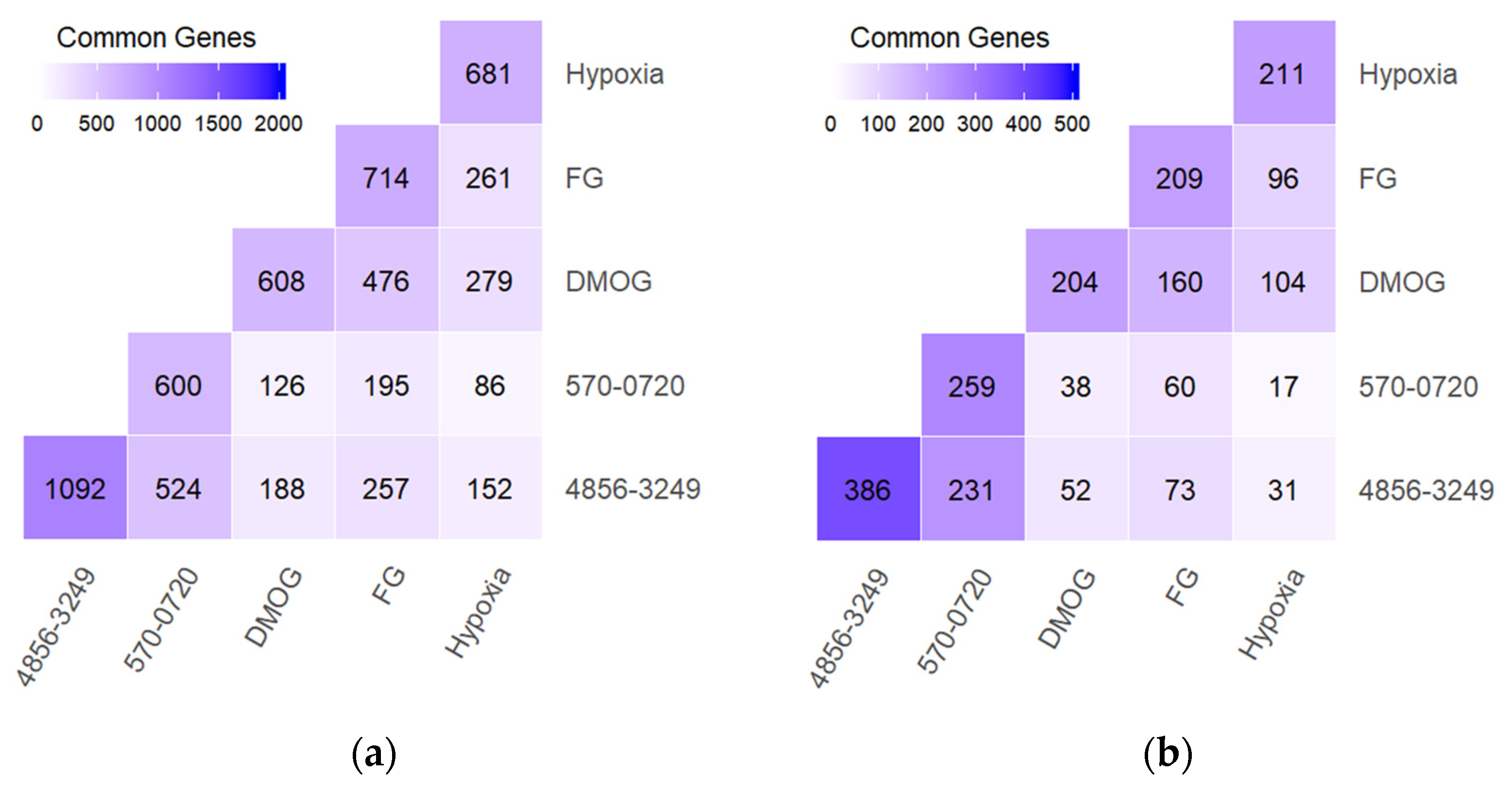 Antioxidants 11 00220 g007