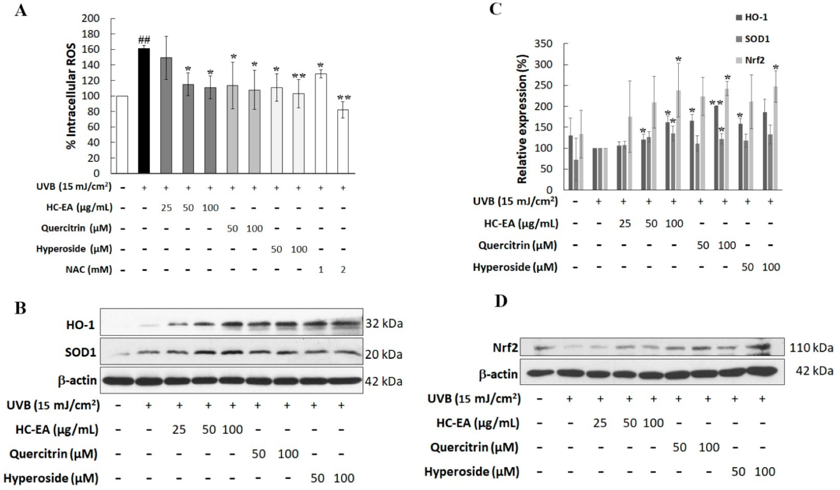 Antioxidants 11 00221 g005