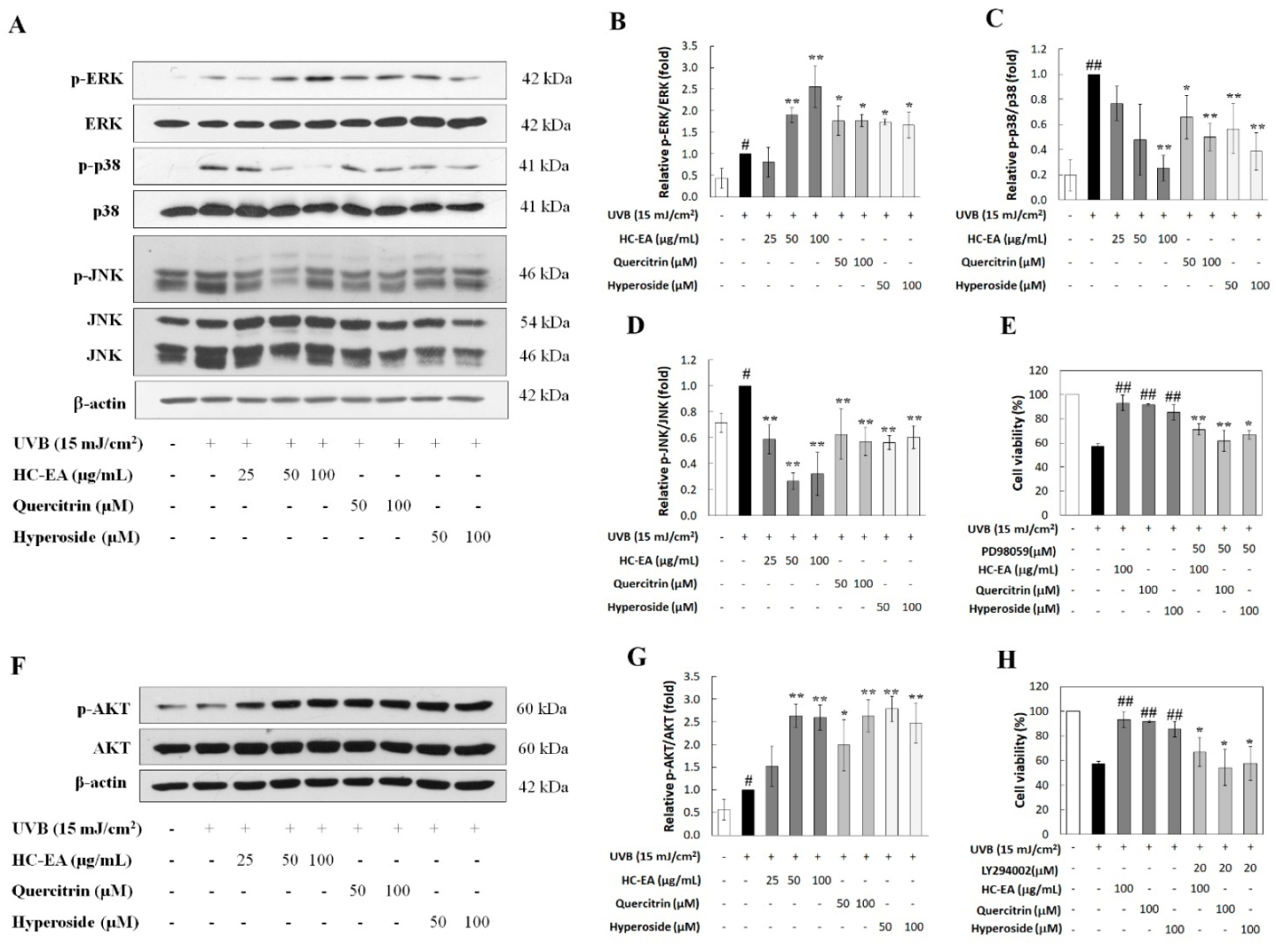 Antioxidants 11 00221 g006