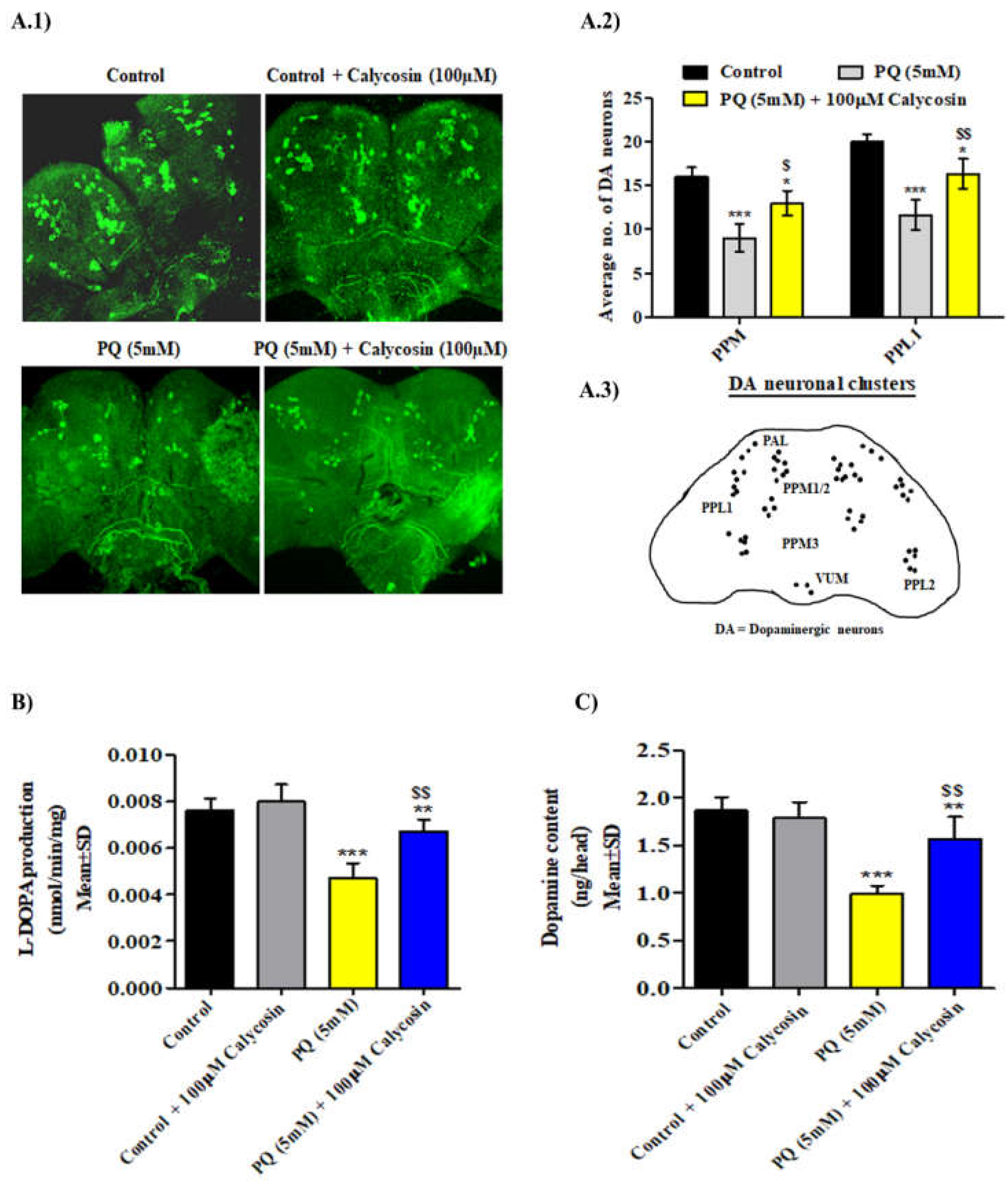 Antioxidants 11 00222 g002