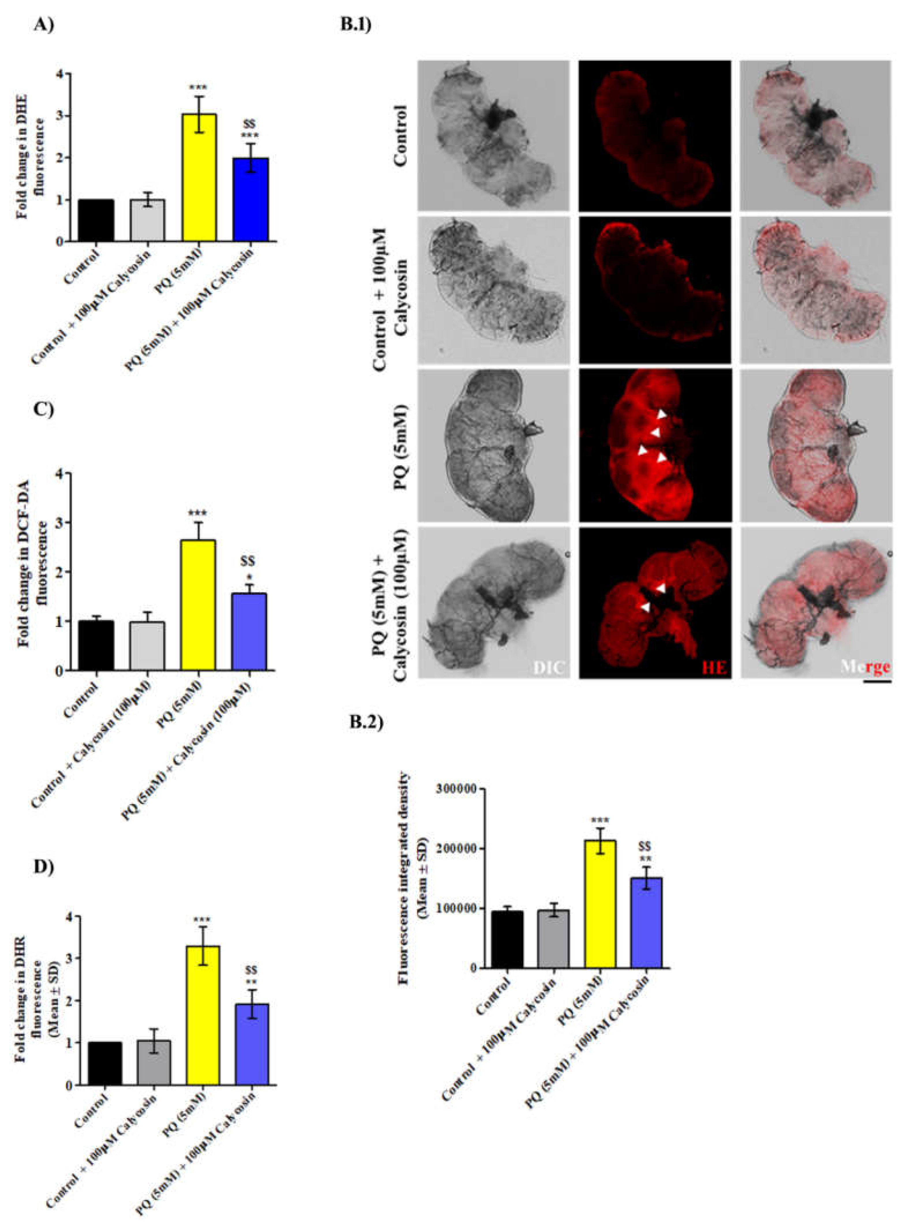 Antioxidants 11 00222 g003