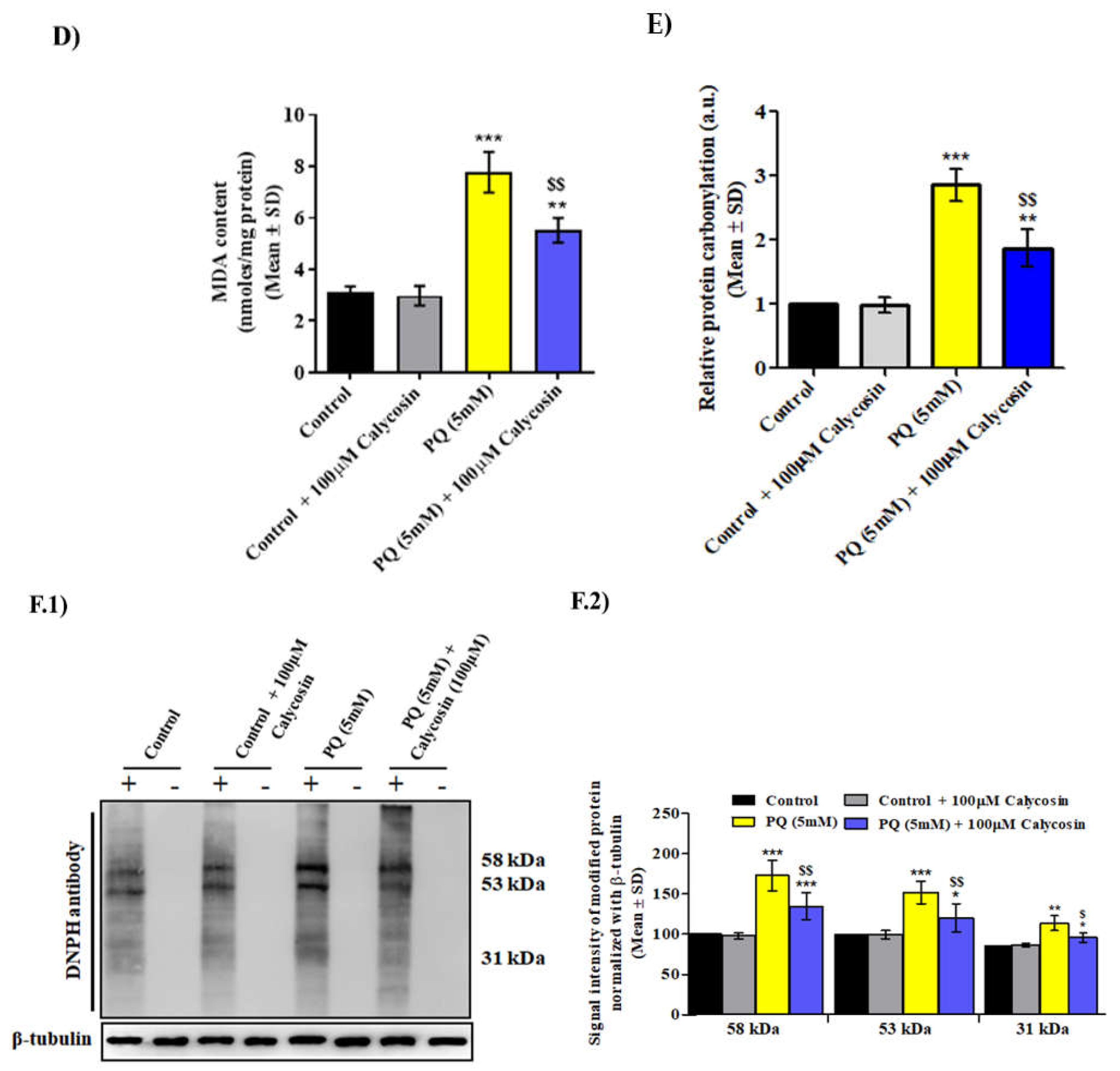 Antioxidants 11 00222 g004b