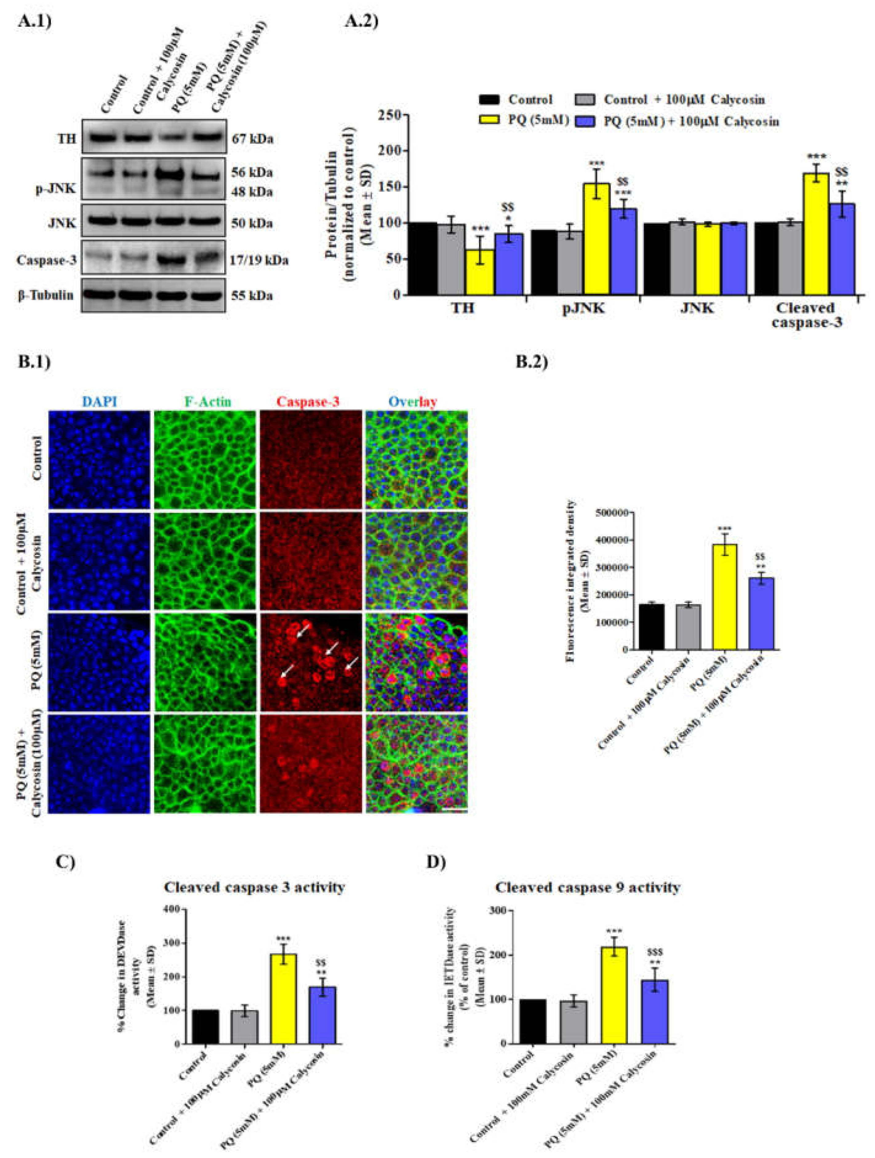 Antioxidants 11 00222 g005