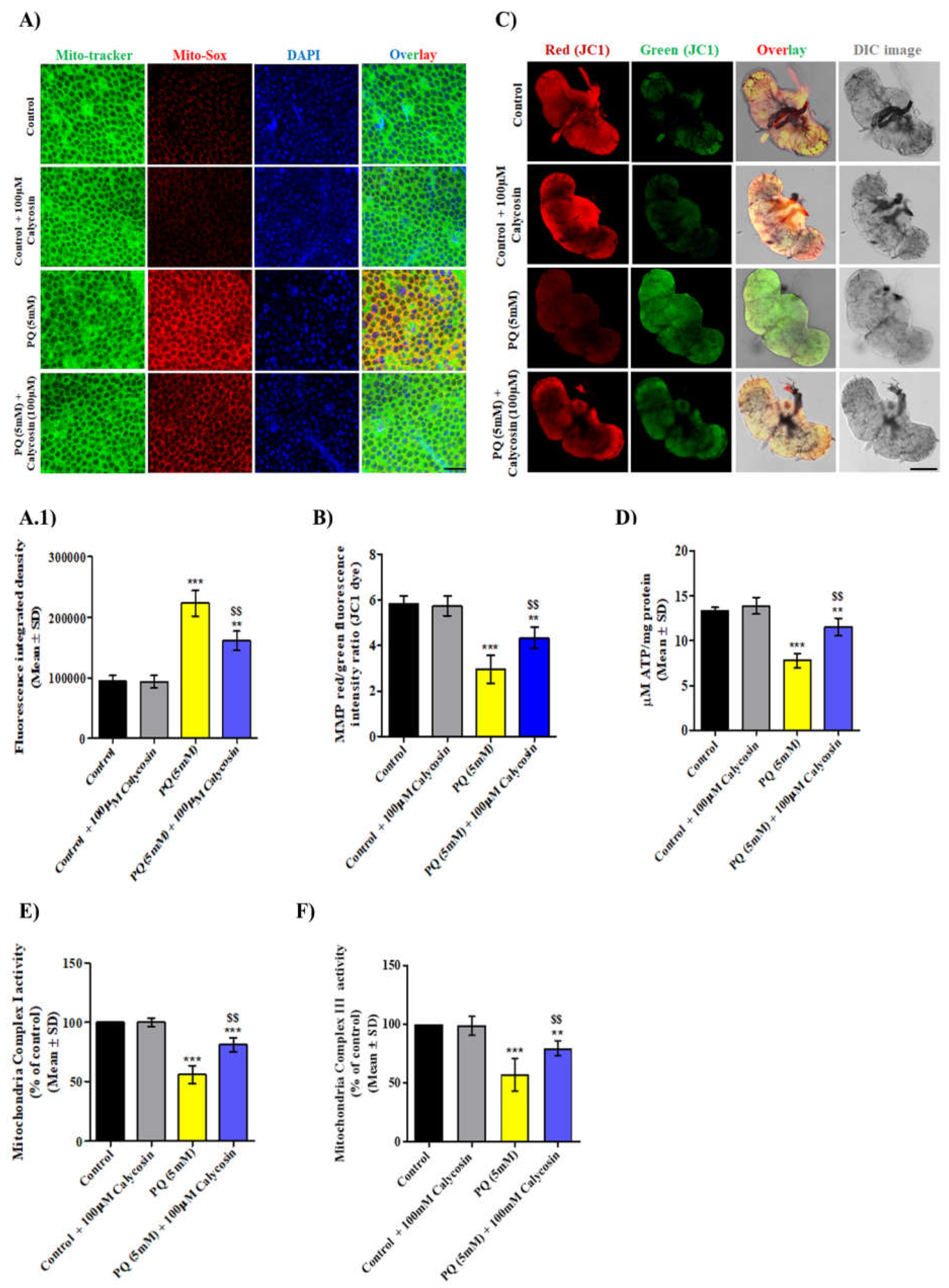 Antioxidants 11 00222 g006