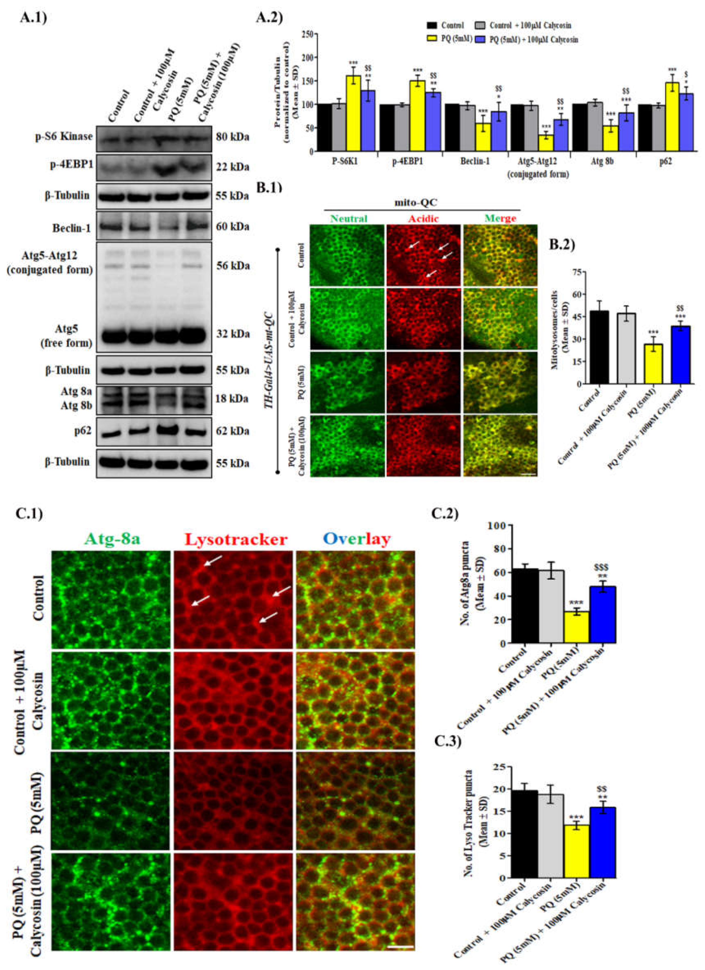 Antioxidants 11 00222 g007
