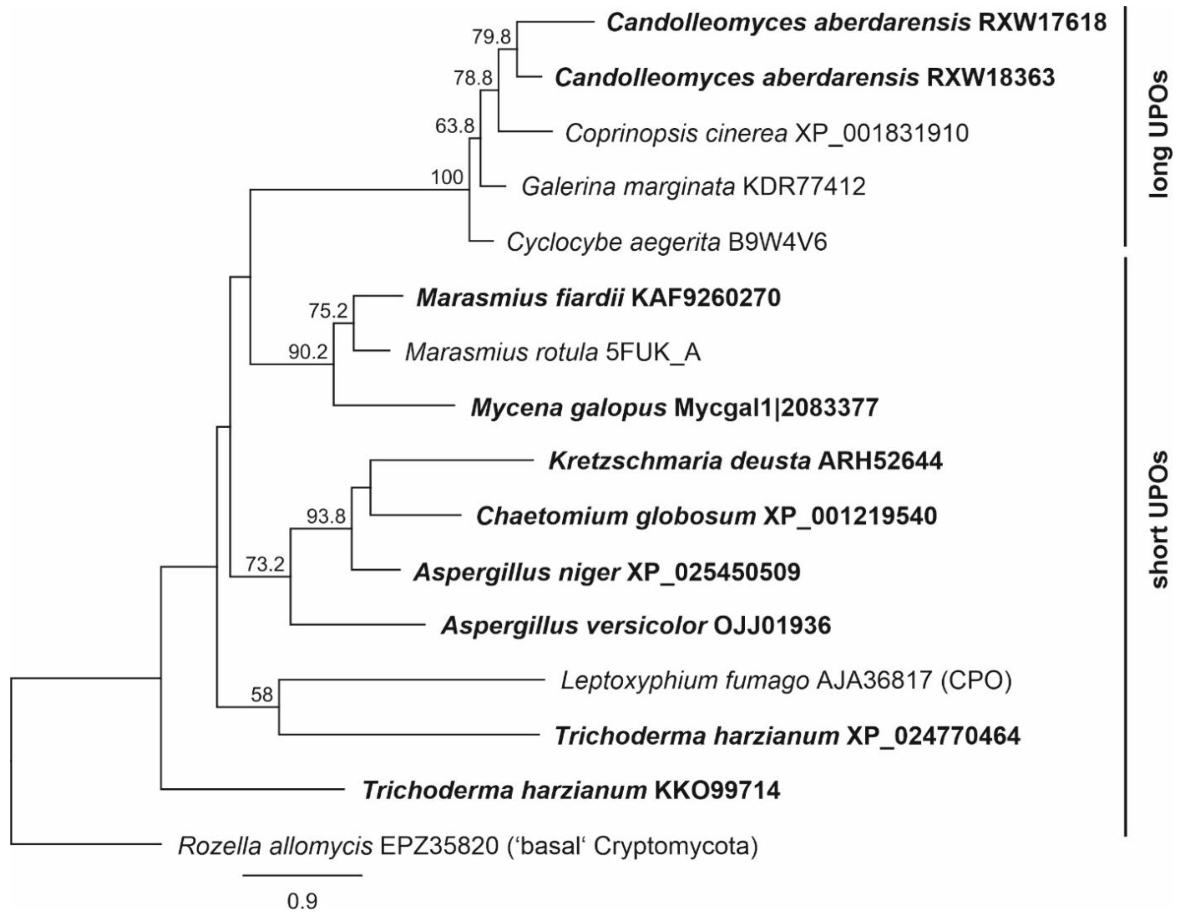 Antioxidants 11 00223 g001