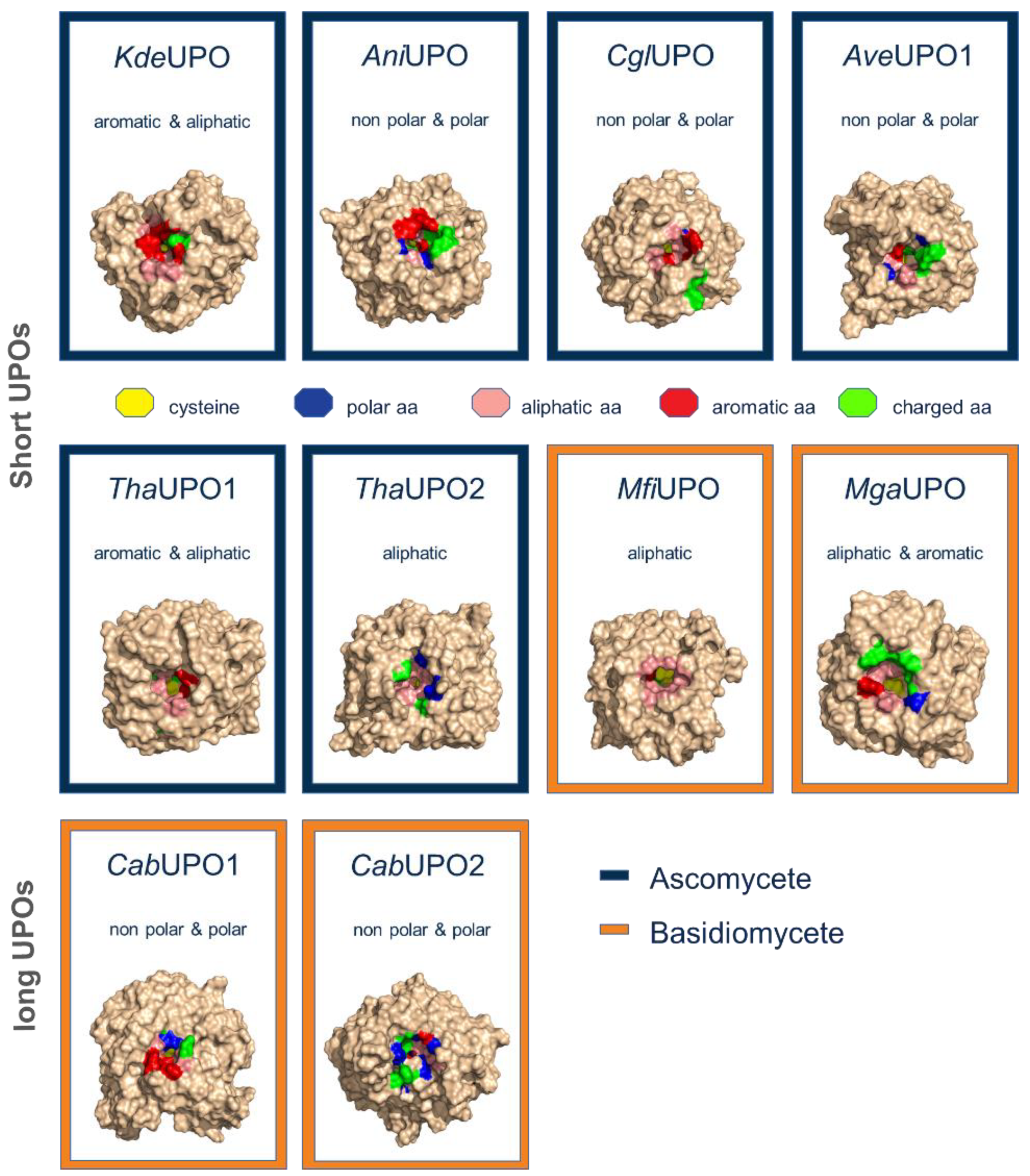 Antioxidants 11 00223 g002