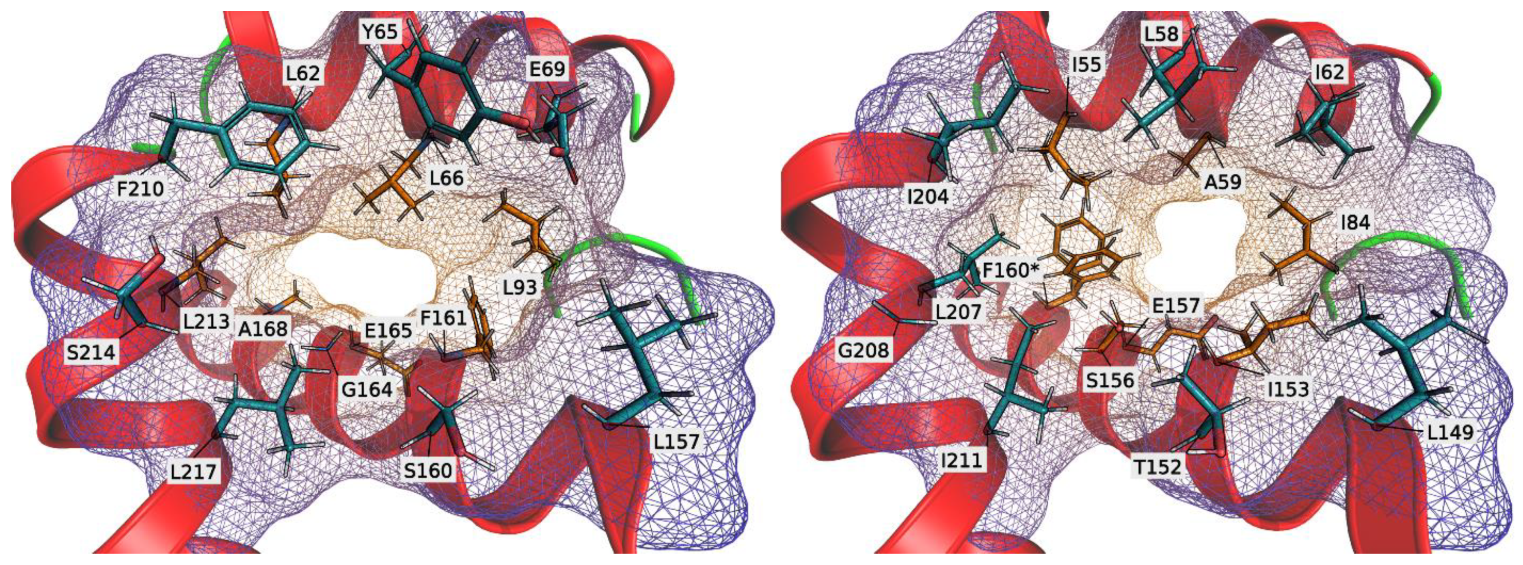 Antioxidants 11 00223 g008