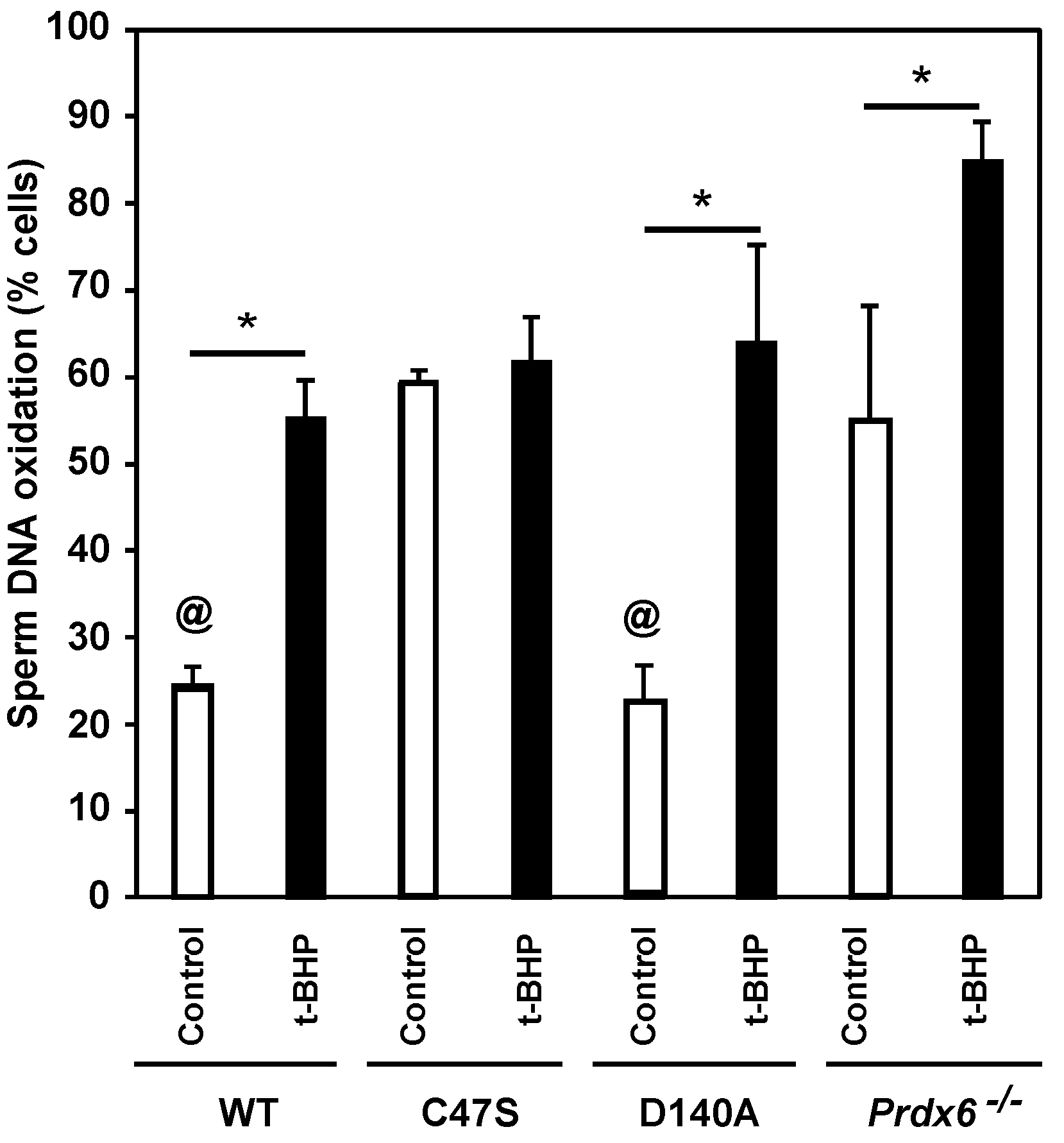 Antioxidants 11 00226 g005