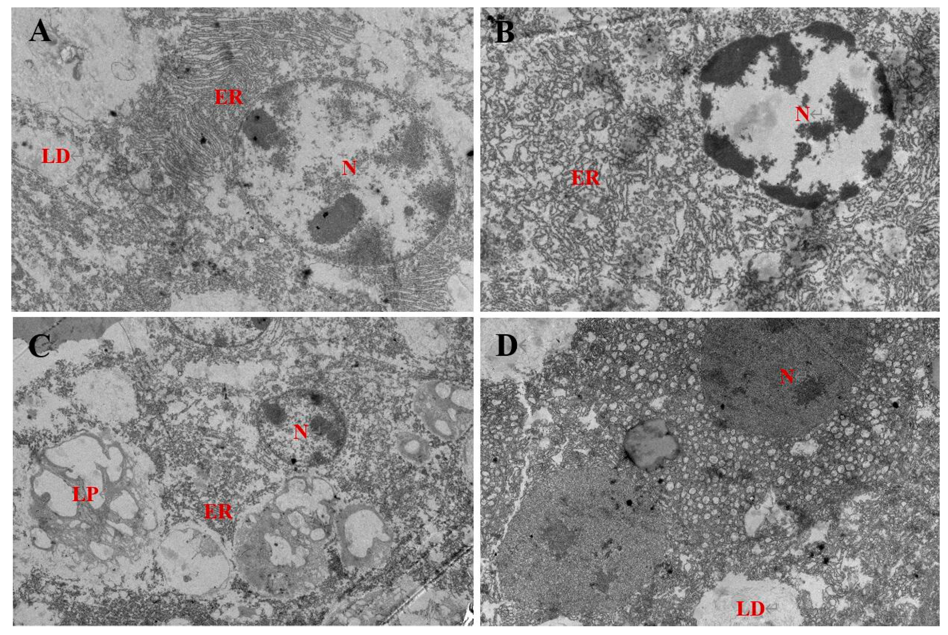 Antioxidants 11 00228 g003