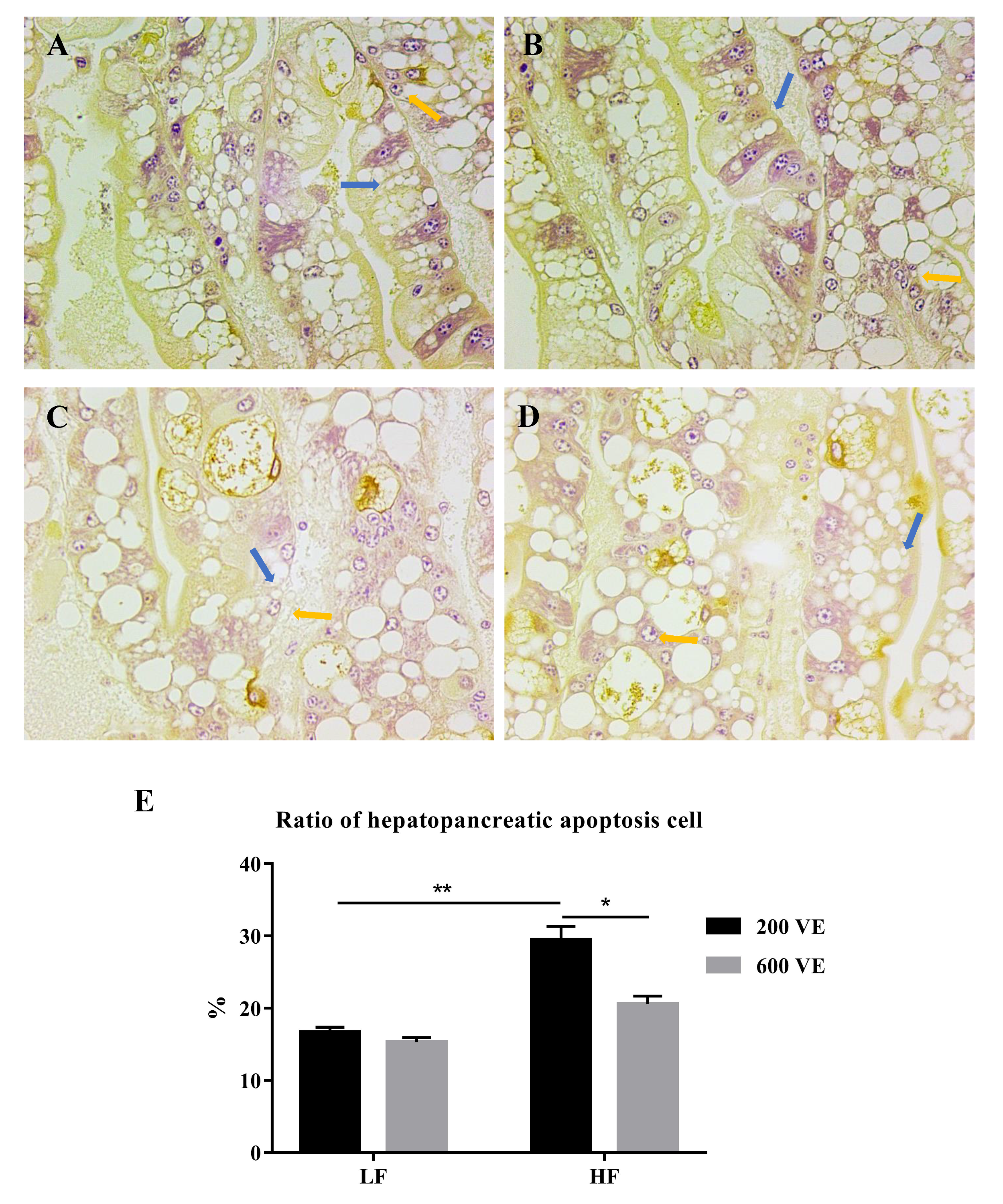 Antioxidants 11 00228 g004