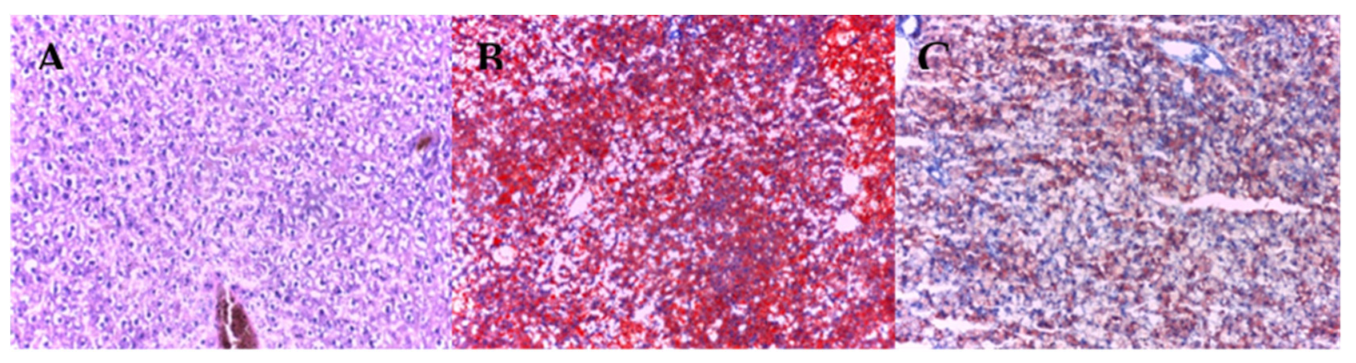 Antioxidants 11 00230 g005