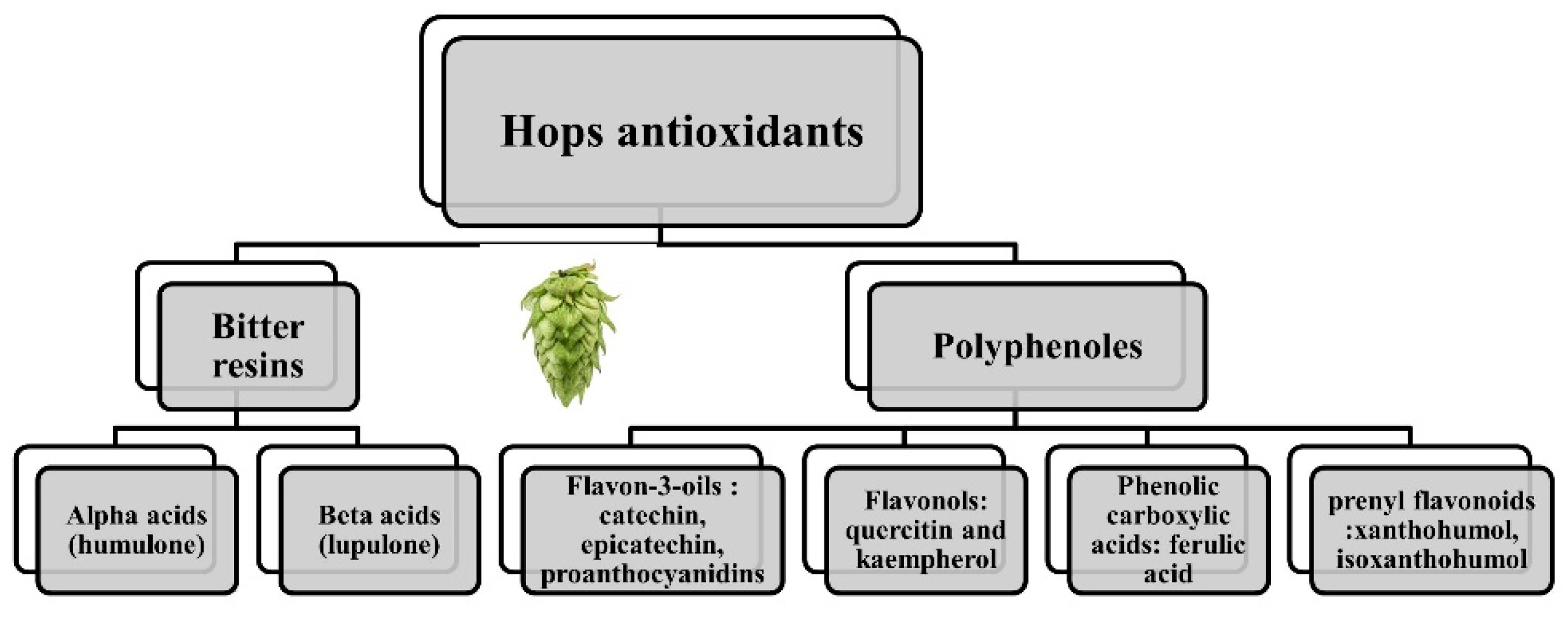 Antioxidants 11 00241 g001