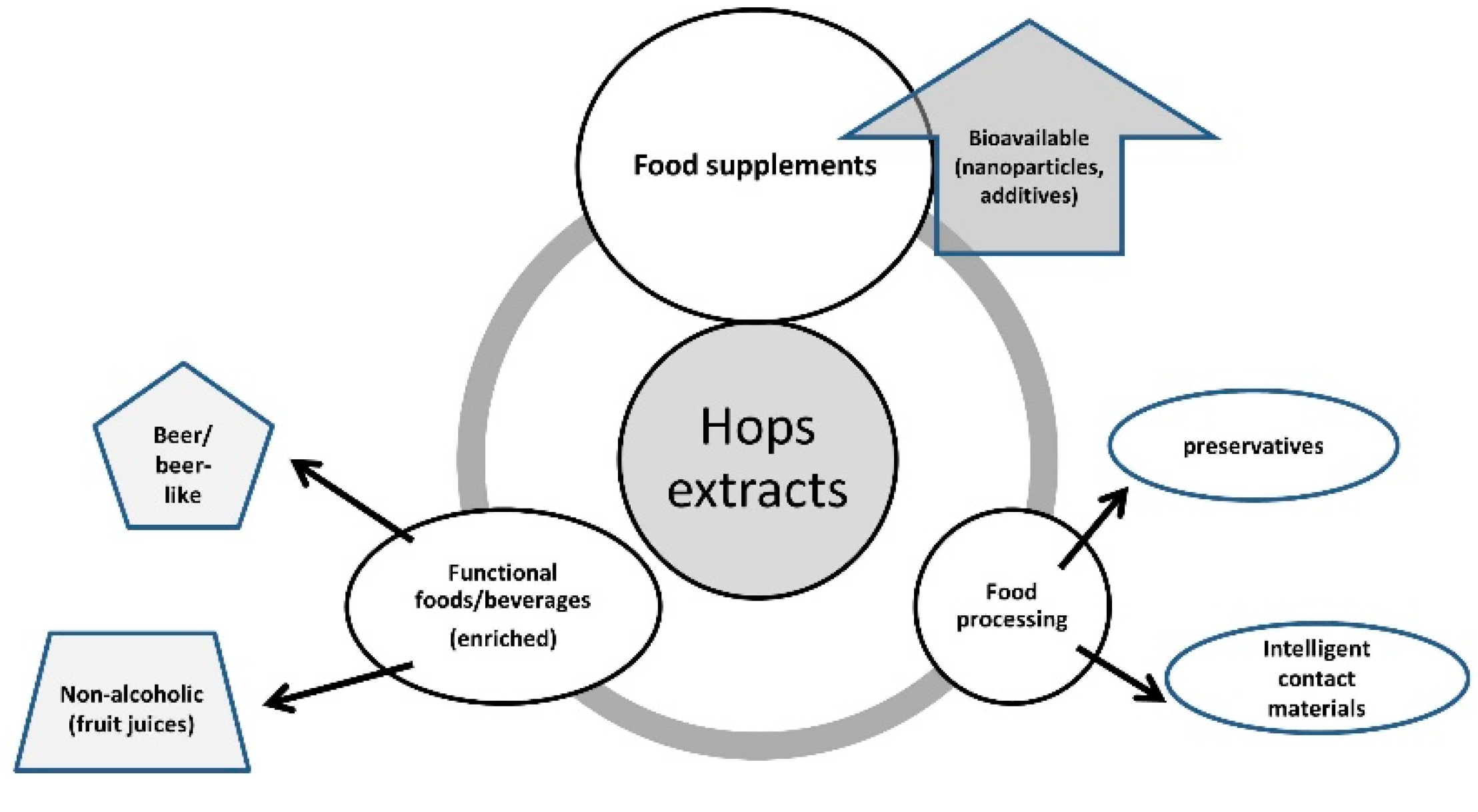 Antioxidants 11 00241 g004