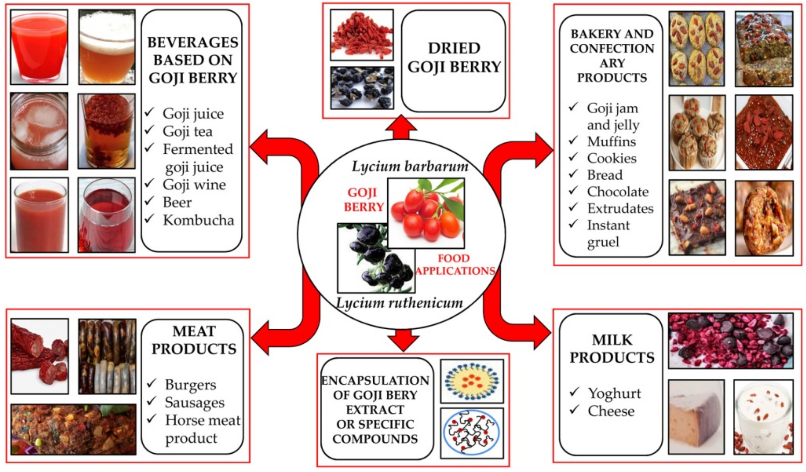 Antioxidants 11 00248 g002 Antioxidants 11 00248 g002
