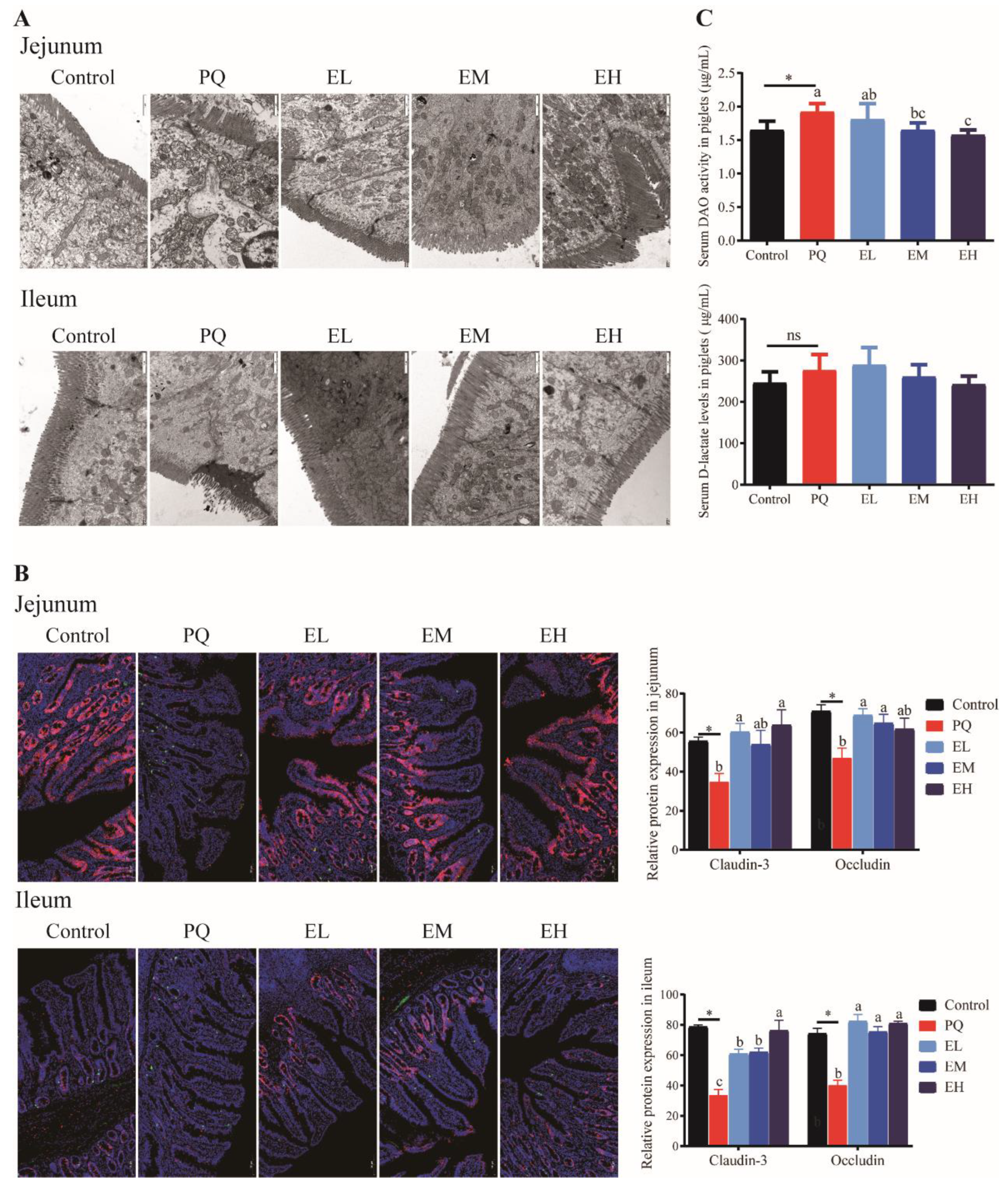 Antioxidants 11 00252 g004 Antioxidants 11 00252 g004