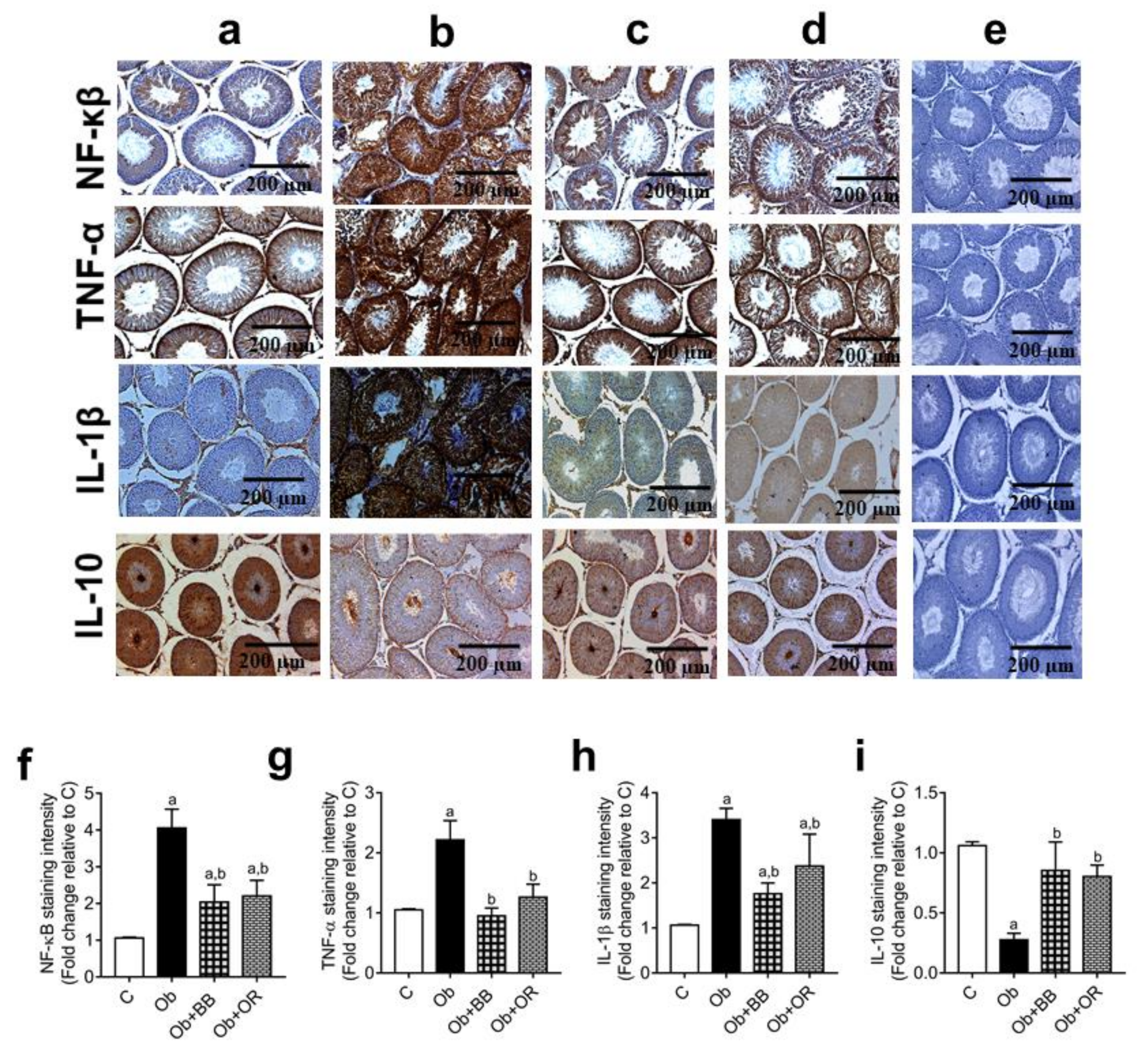 Antioxidants 11 00255 g004 Antioxidants 11 00255 g004