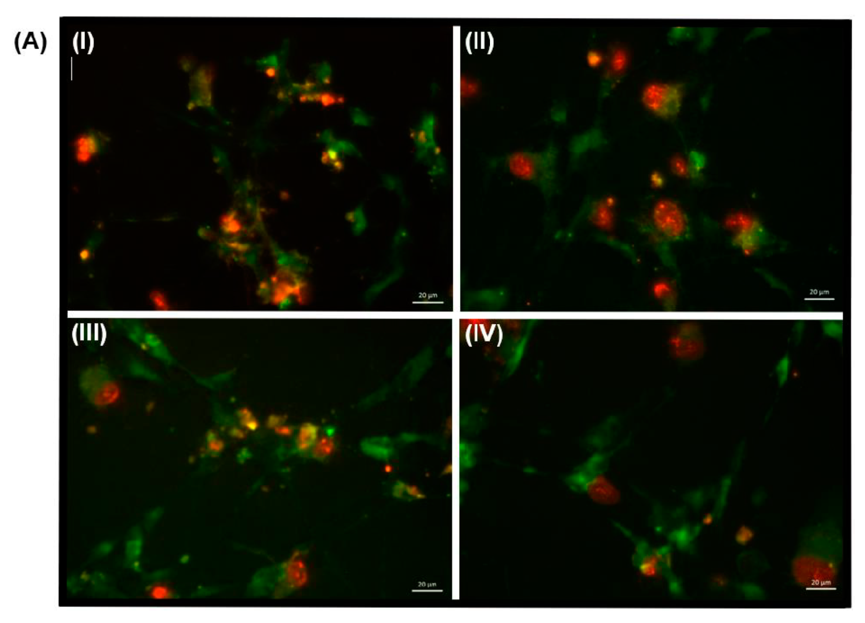 Antioxidants 11 00257 g004a