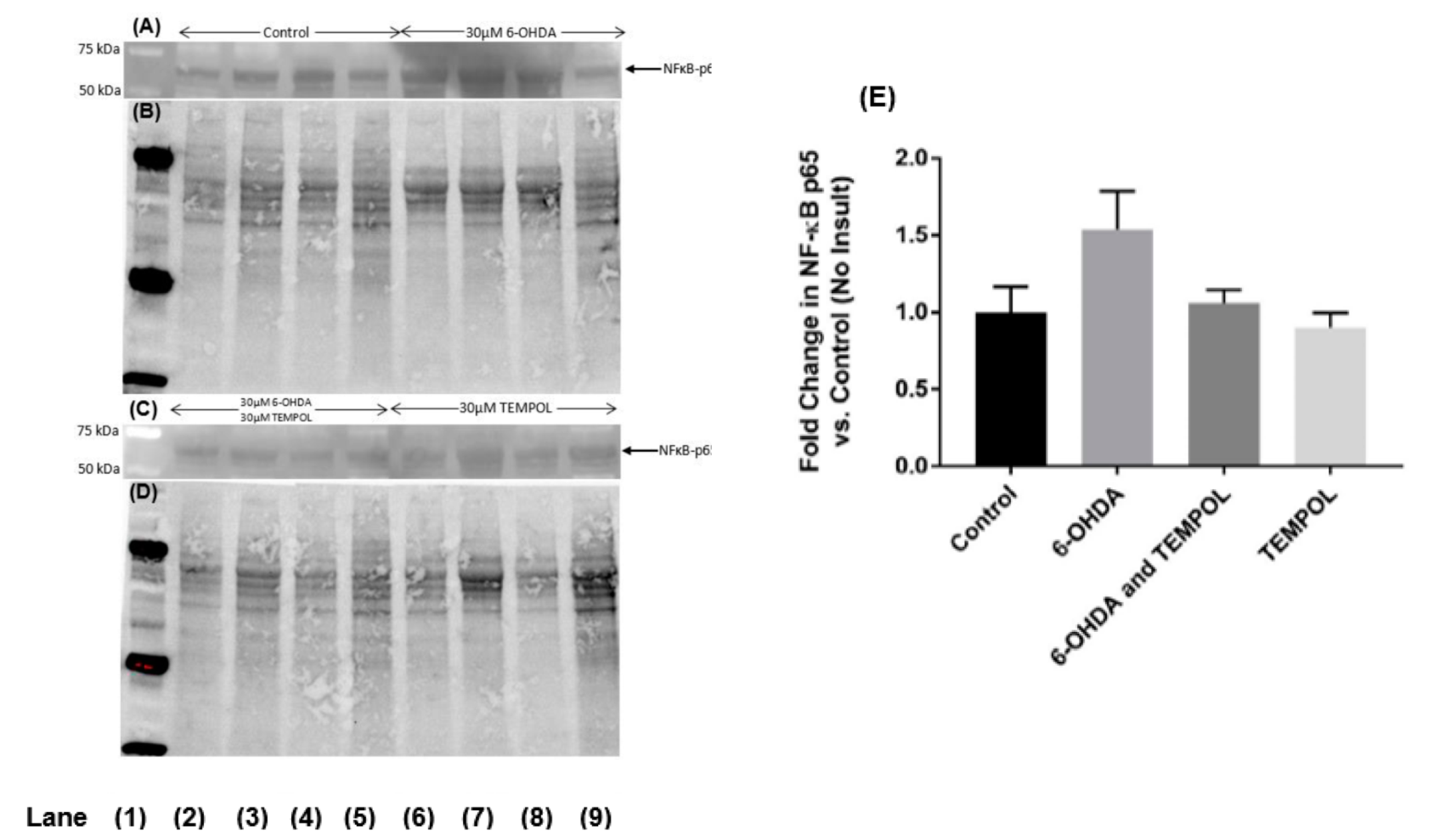 Antioxidants 11 00257 g007
