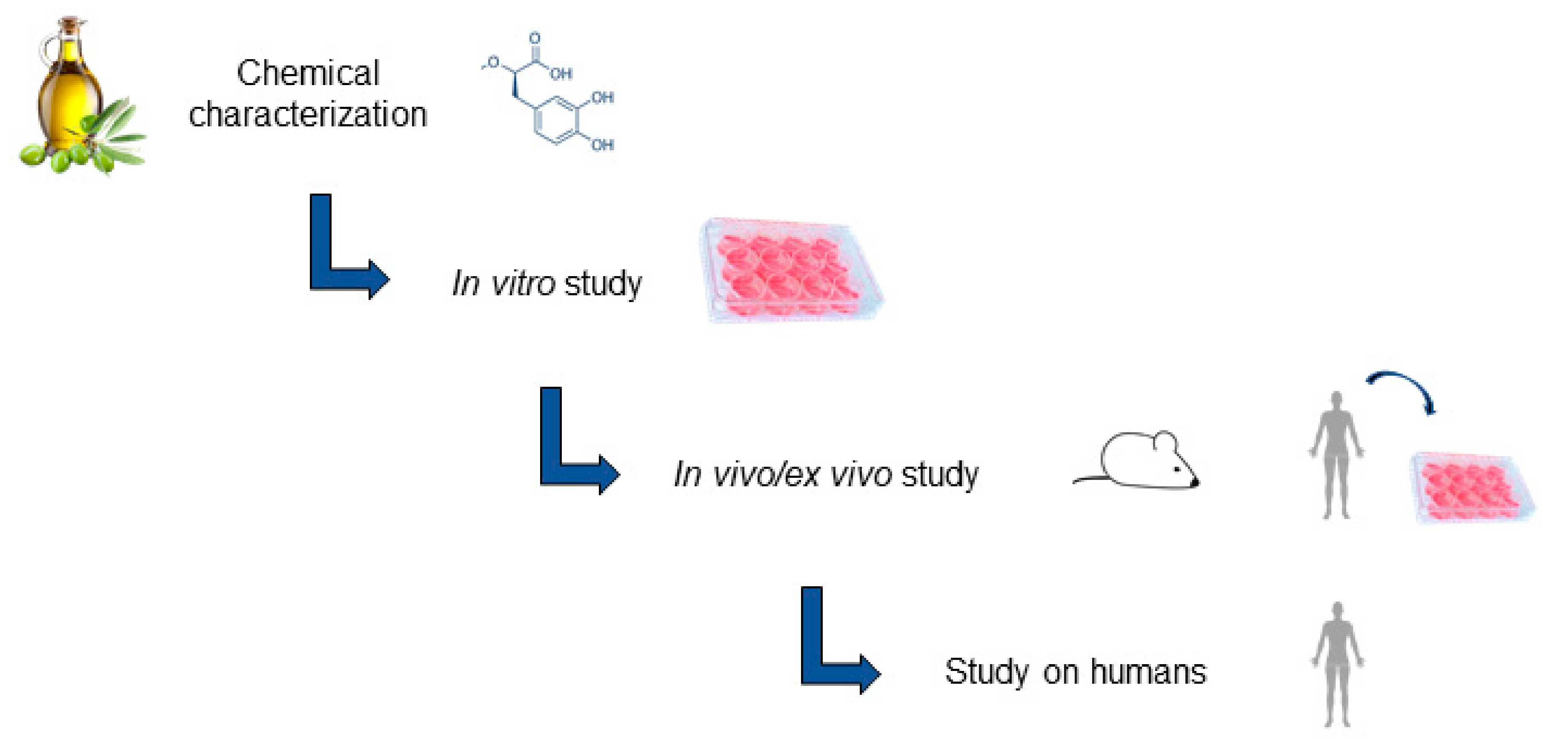 Antioxidants 11 00258 g001