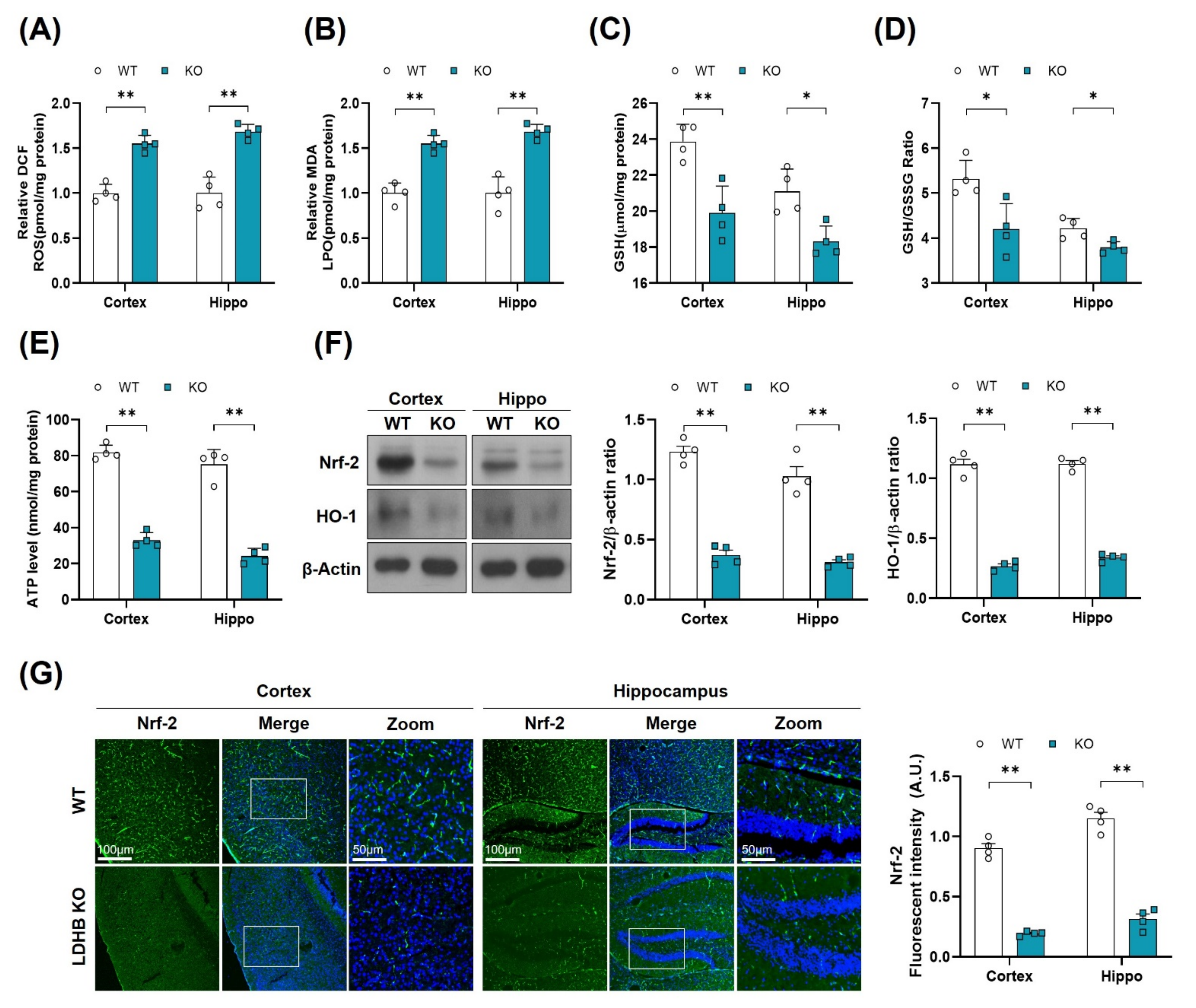 Antioxidants 11 00261 g002
