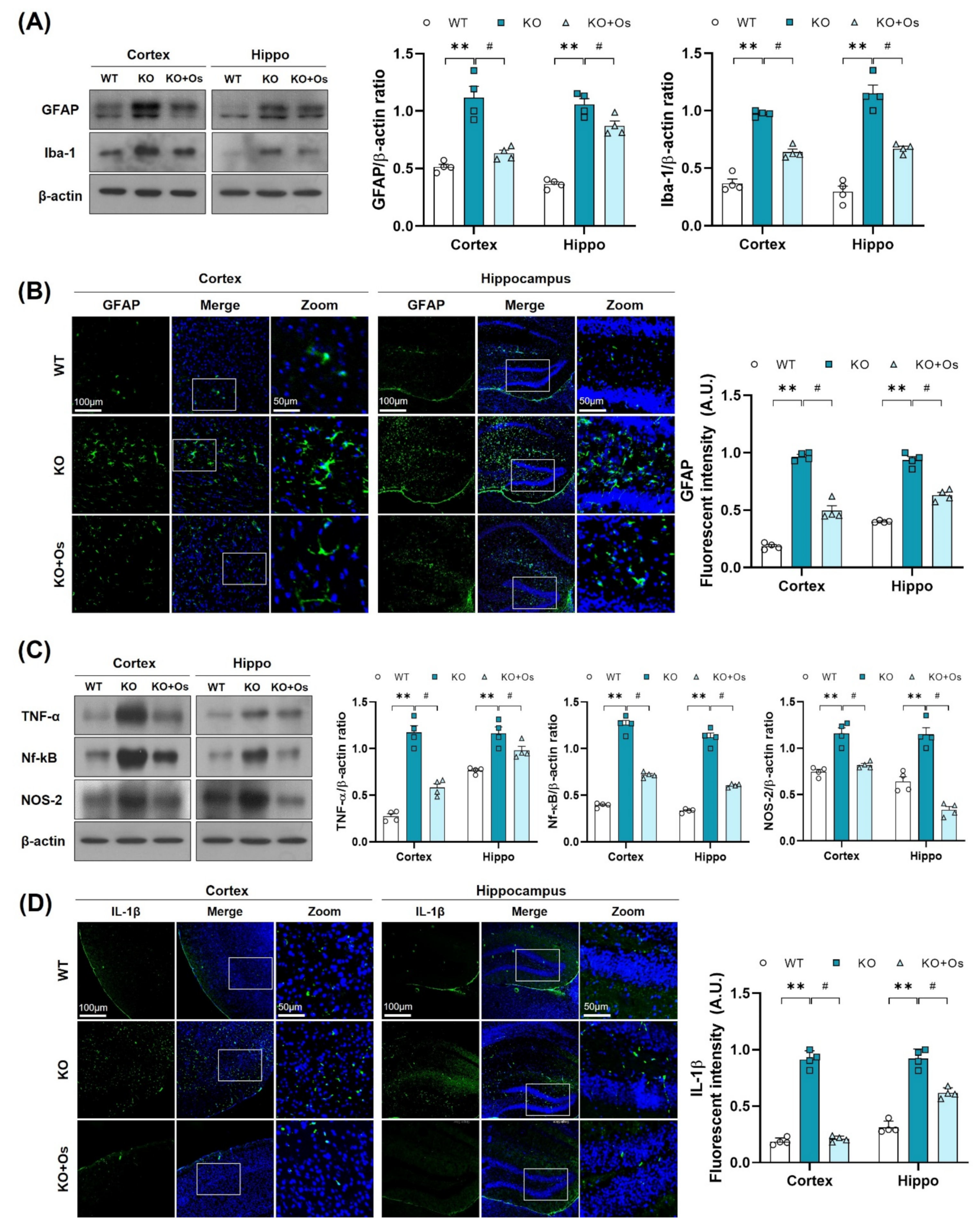 Antioxidants 11 00261 g006