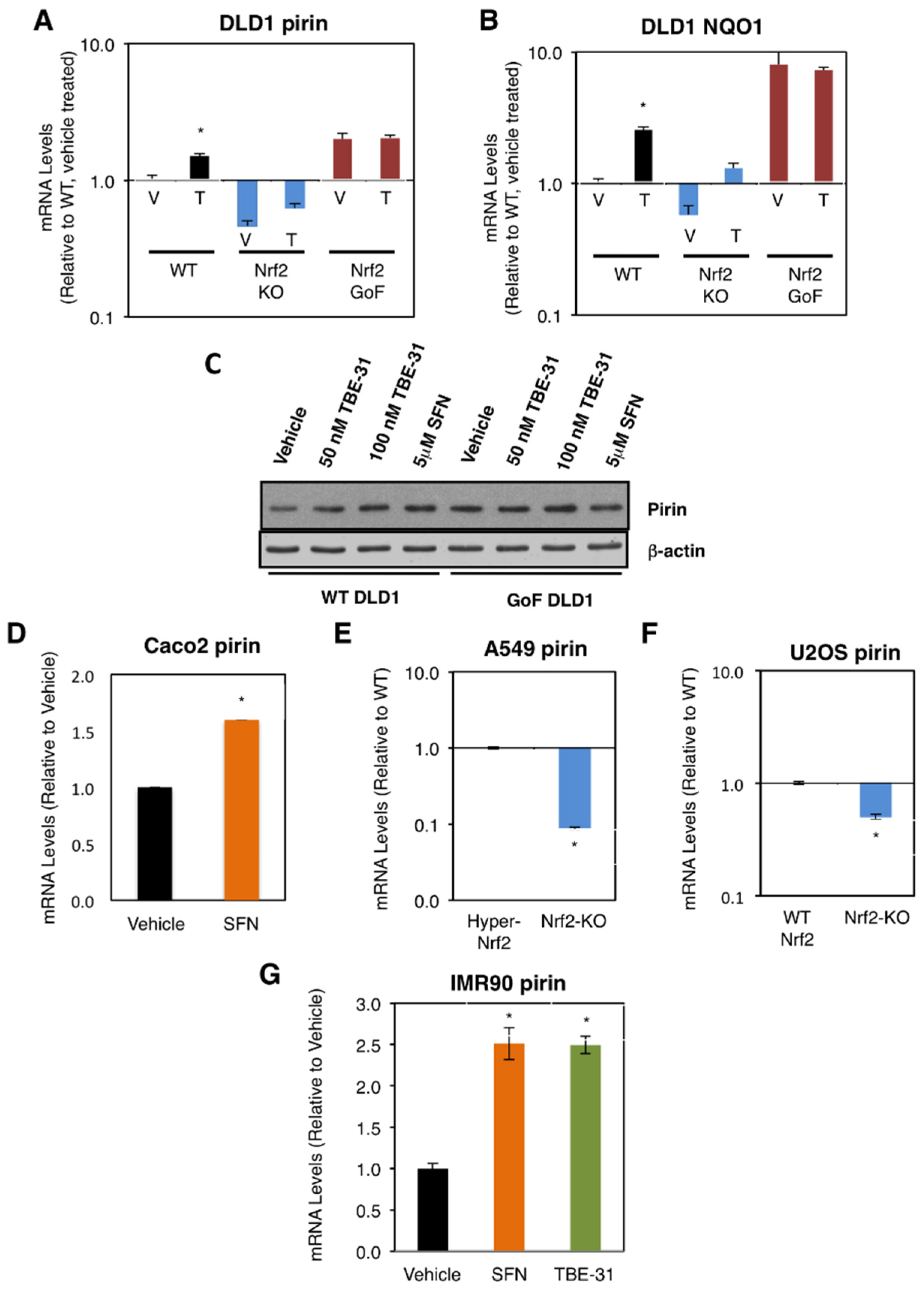 Antioxidants 11 00262 g001