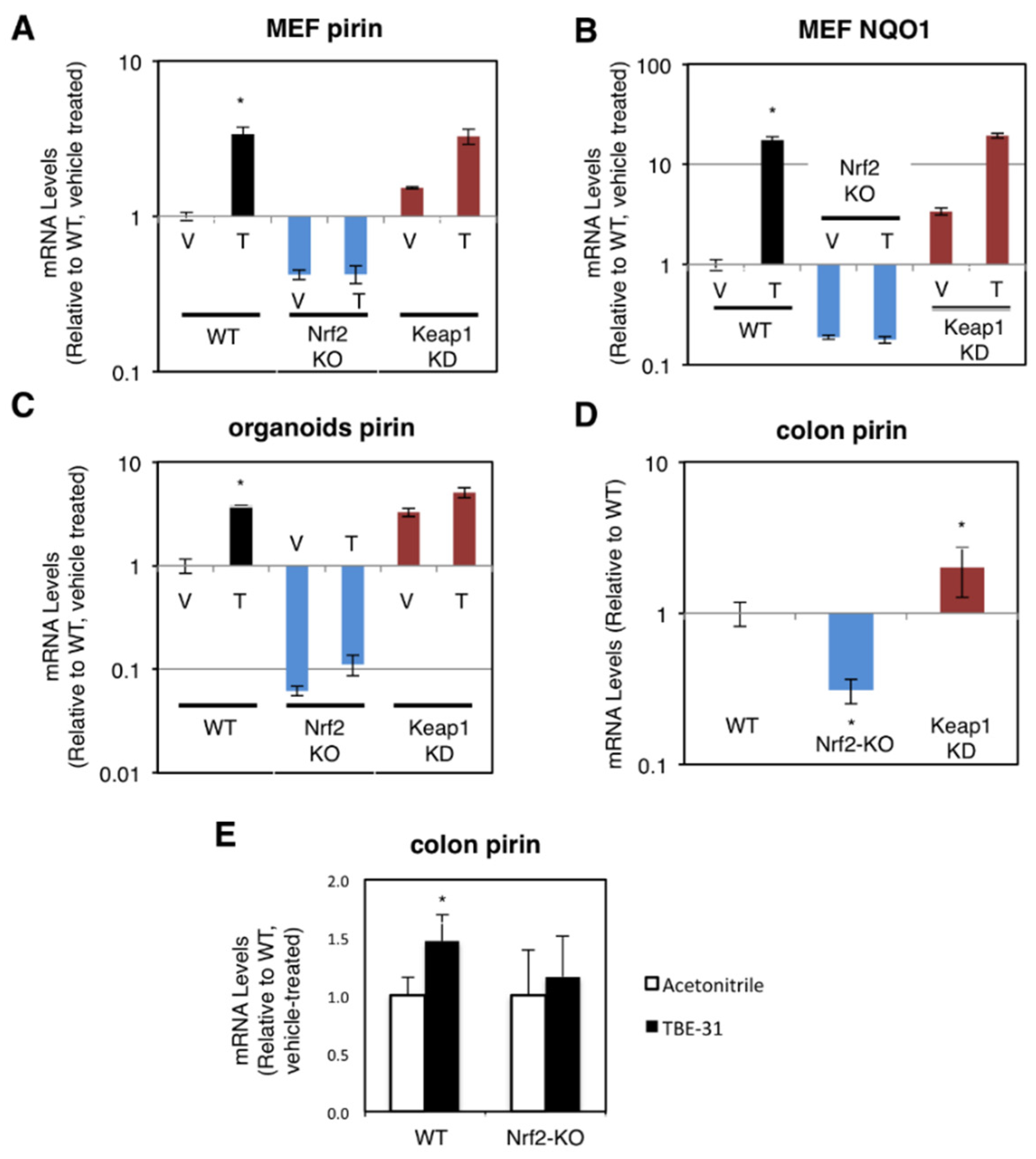 Antioxidants 11 00262 g002