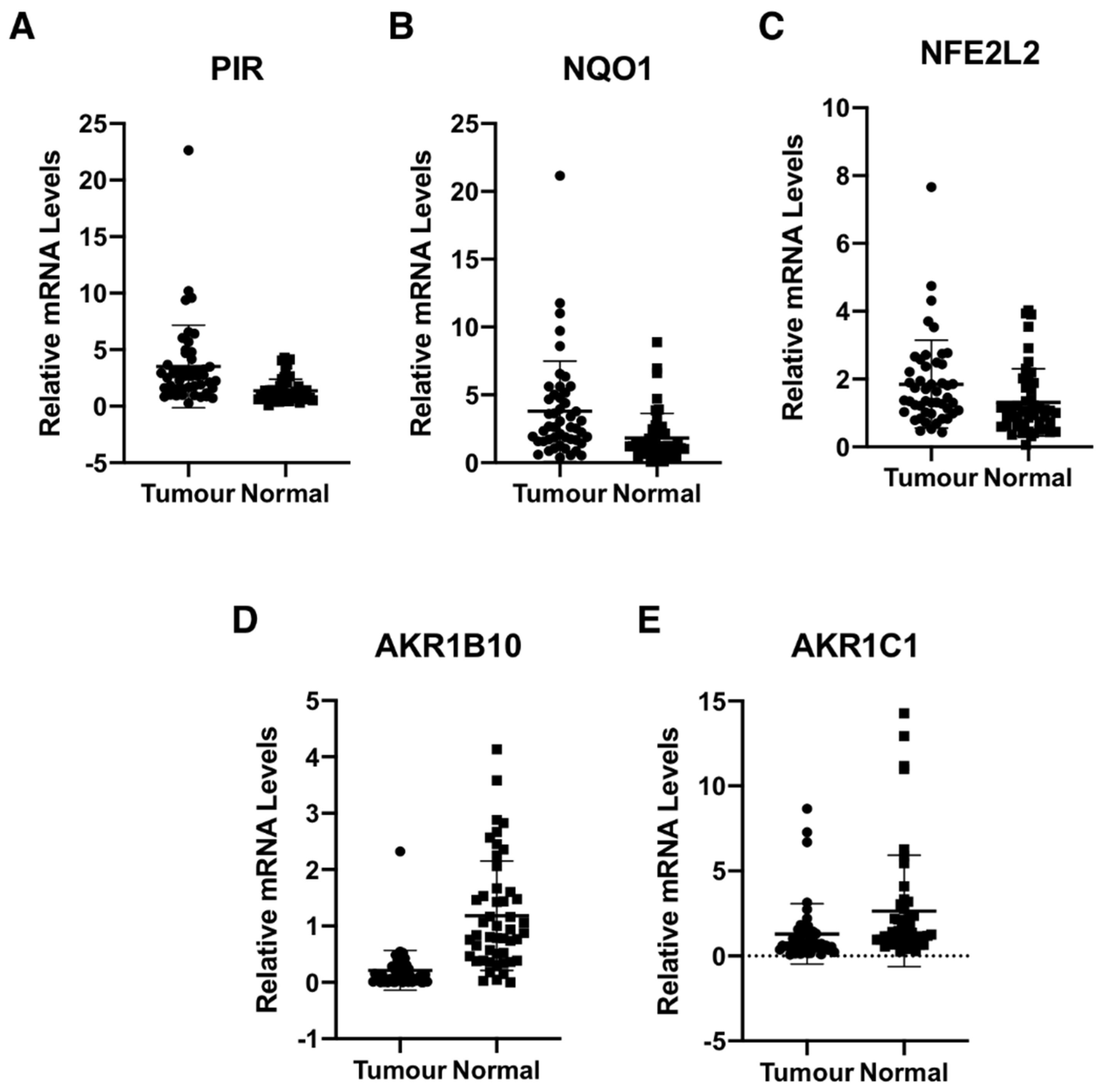 Antioxidants 11 00262 g003