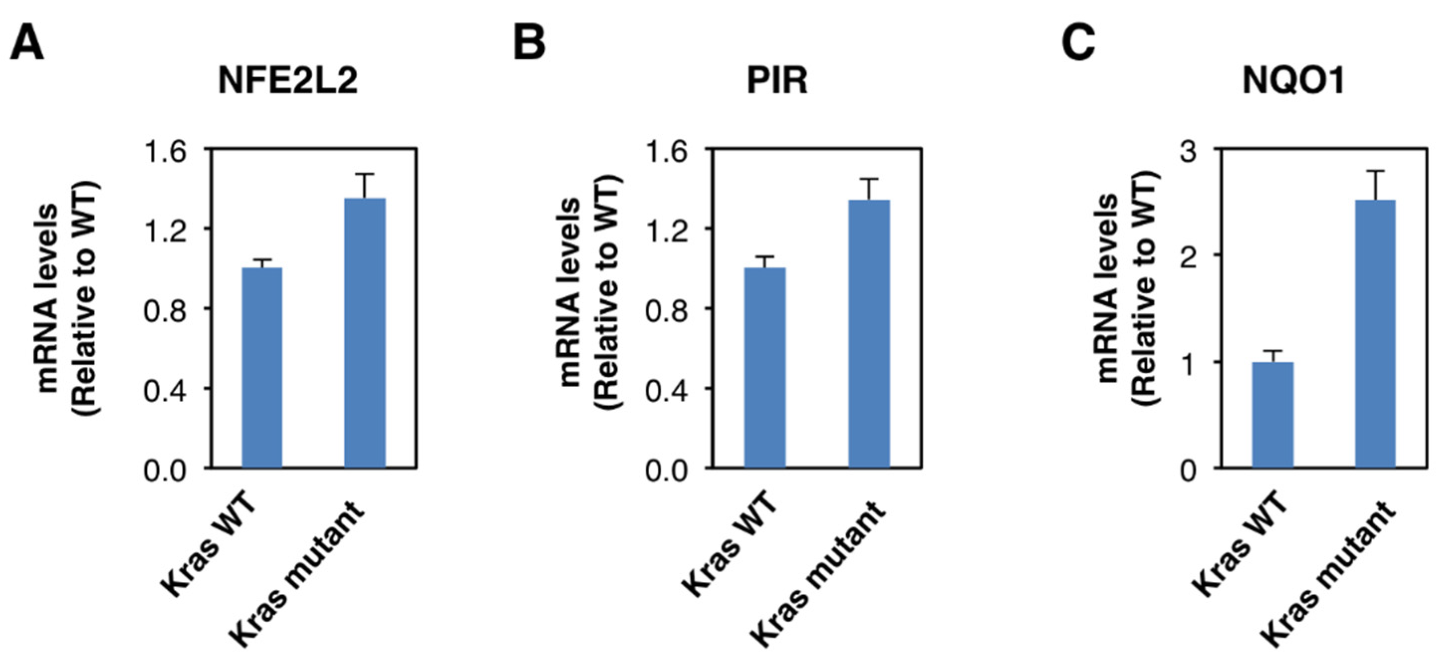 Antioxidants 11 00262 g004