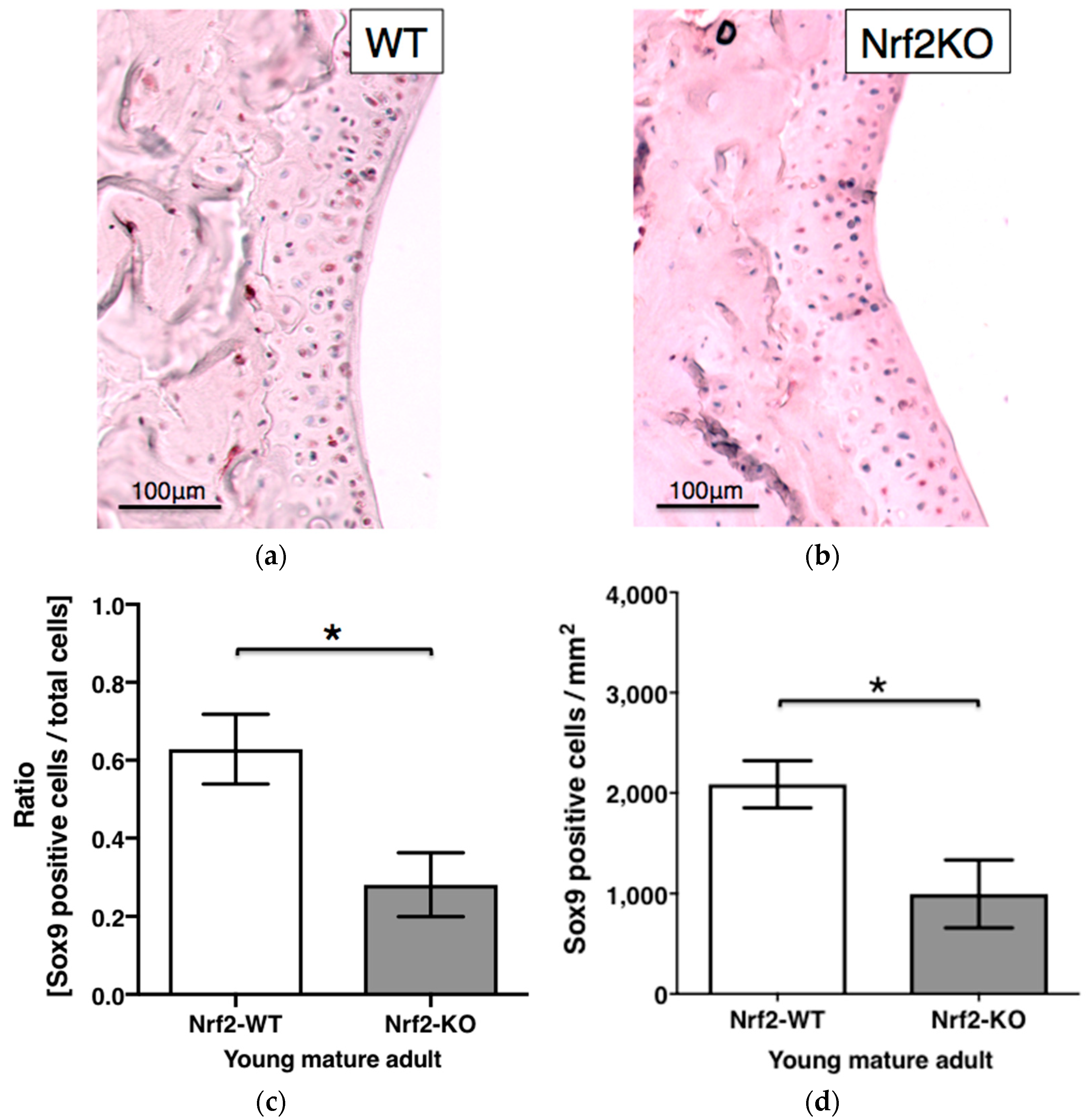 Antioxidants 11 00263 g005