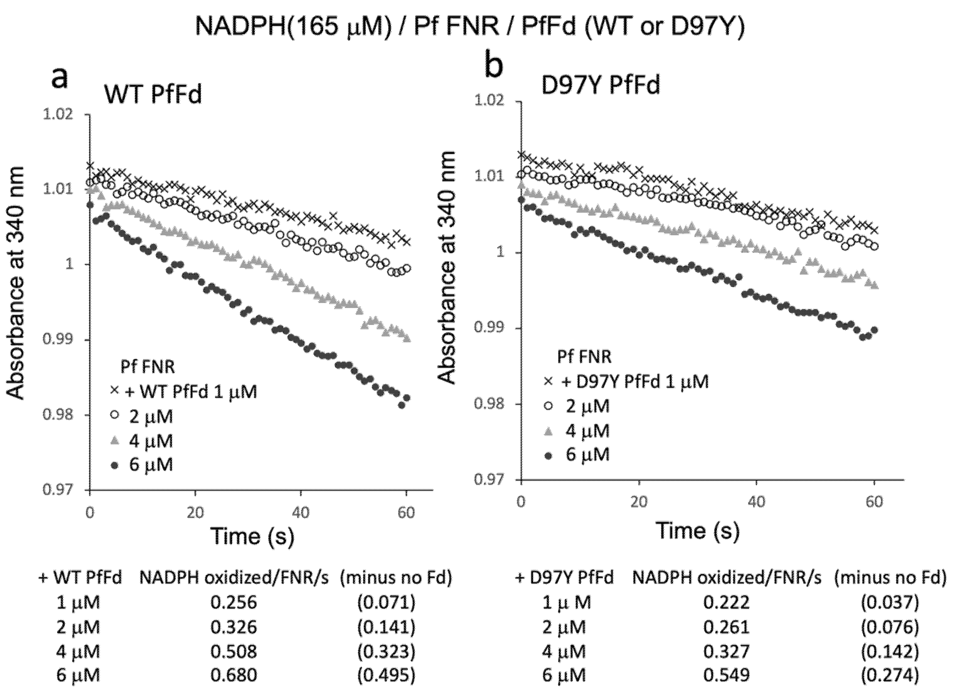 Antioxidants 11 00273 g005