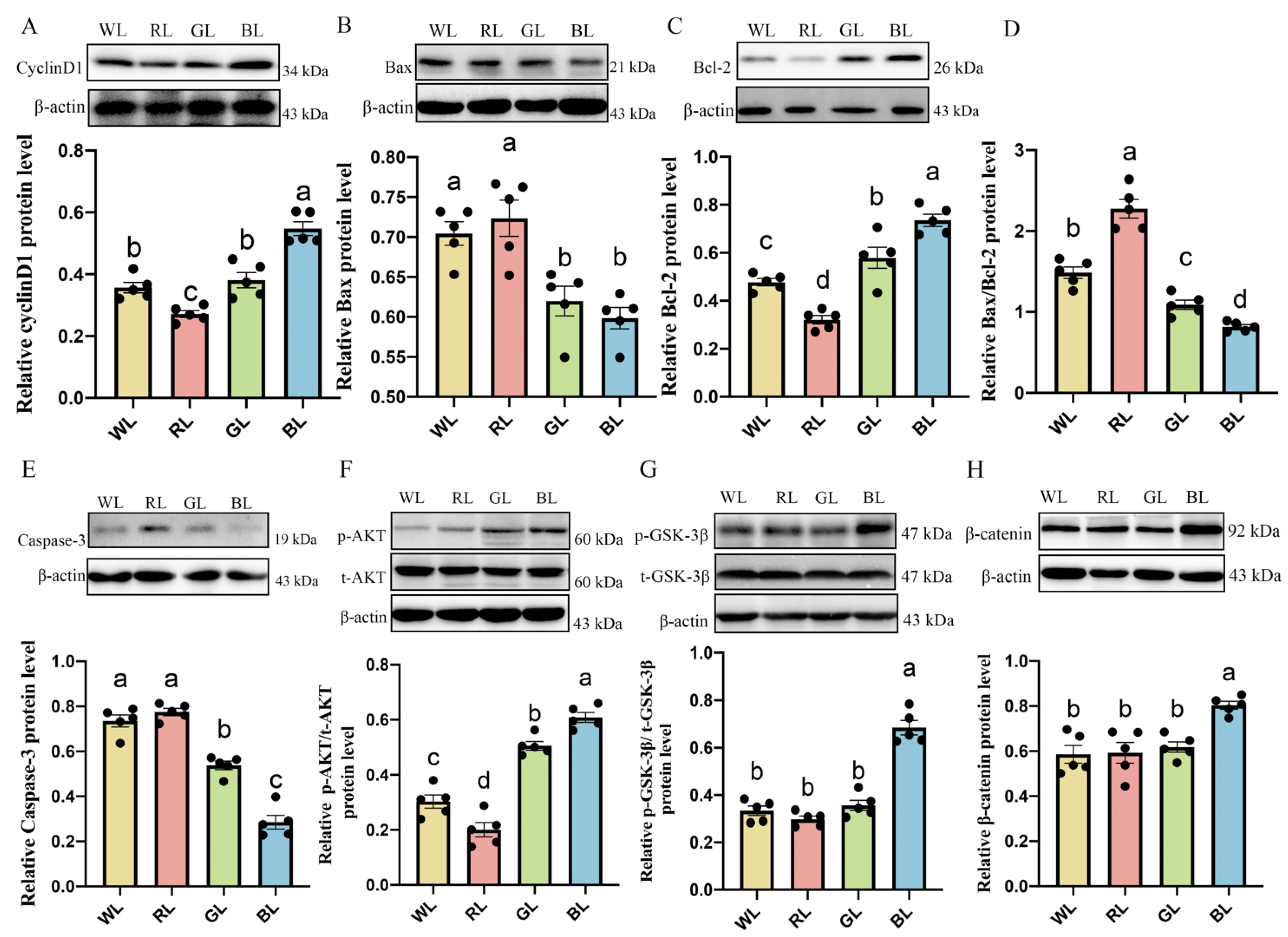 Antioxidants 11 00274 g005