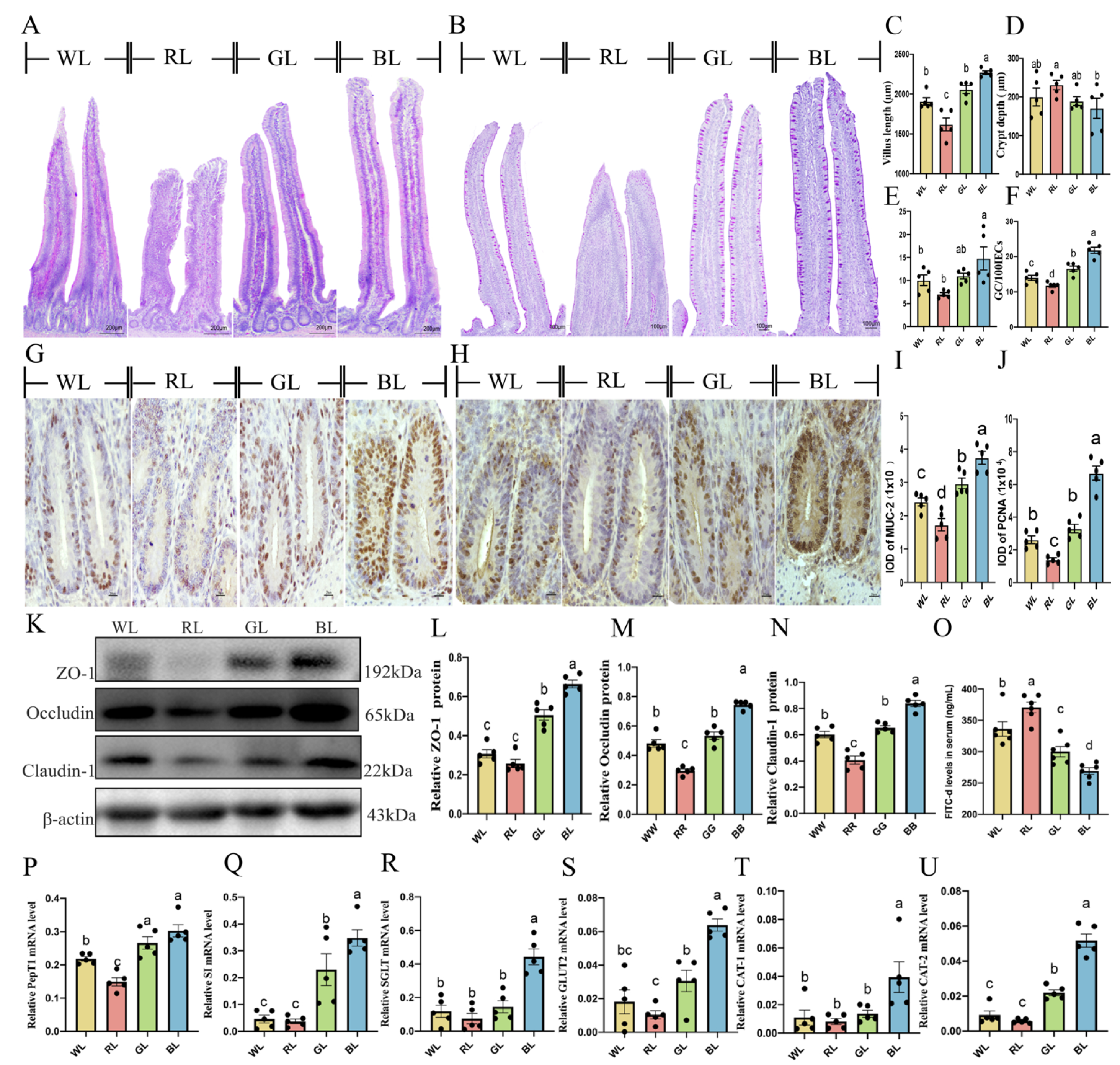 Antioxidants 11 00274 g007