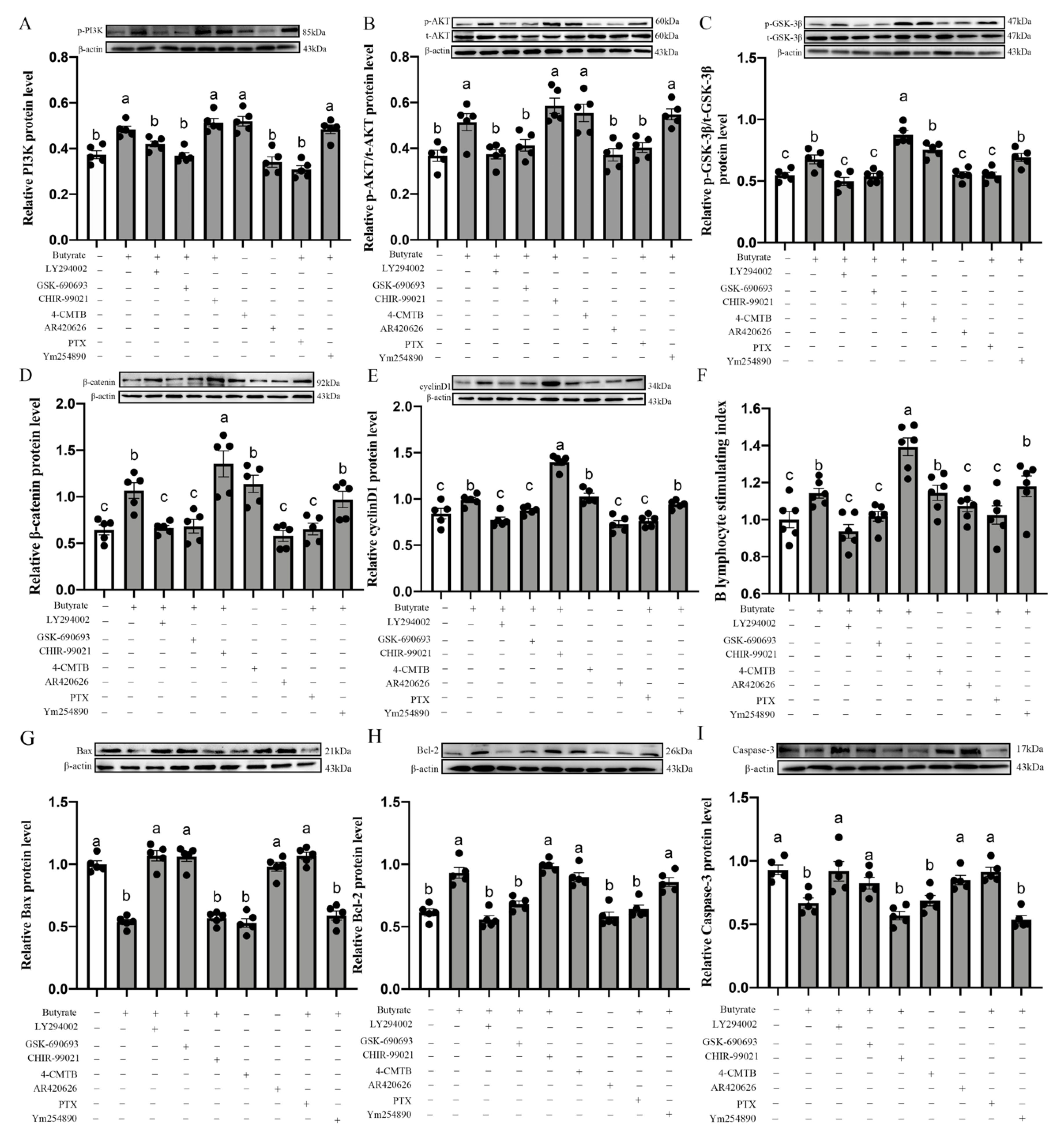Antioxidants 11 00274 g009