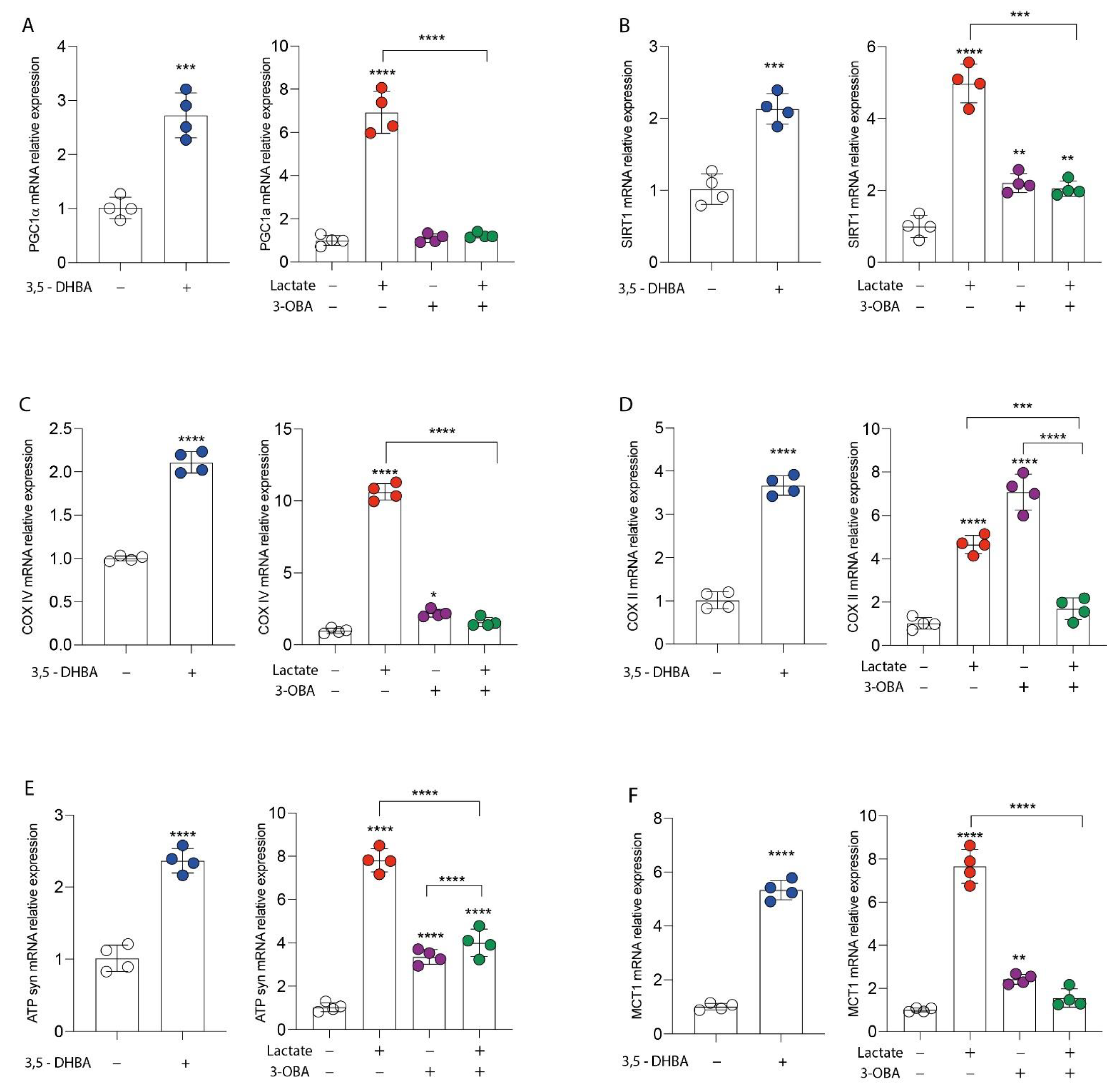 Antioxidants 11 00275 g002