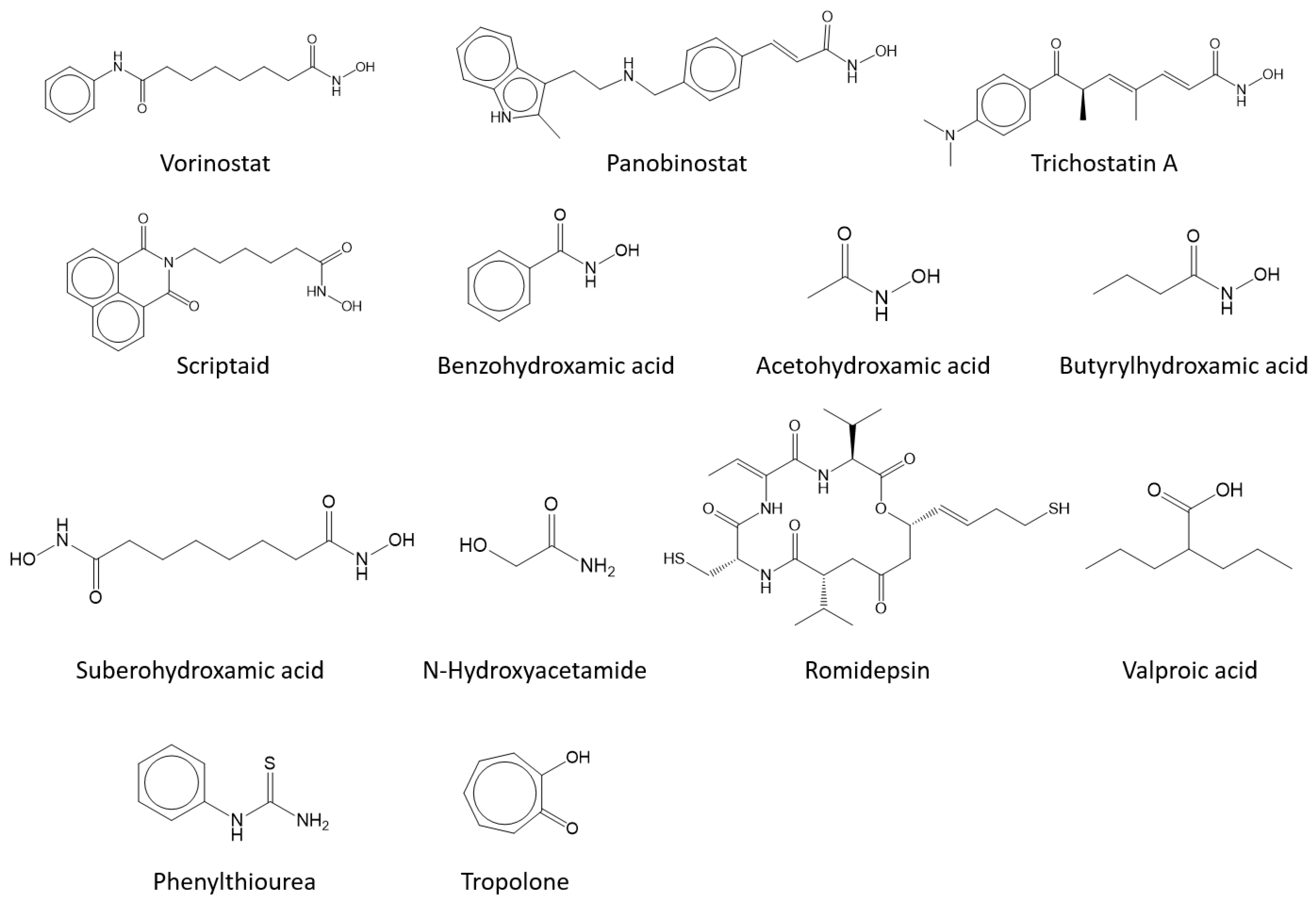 Antioxidants 11 00280 g001