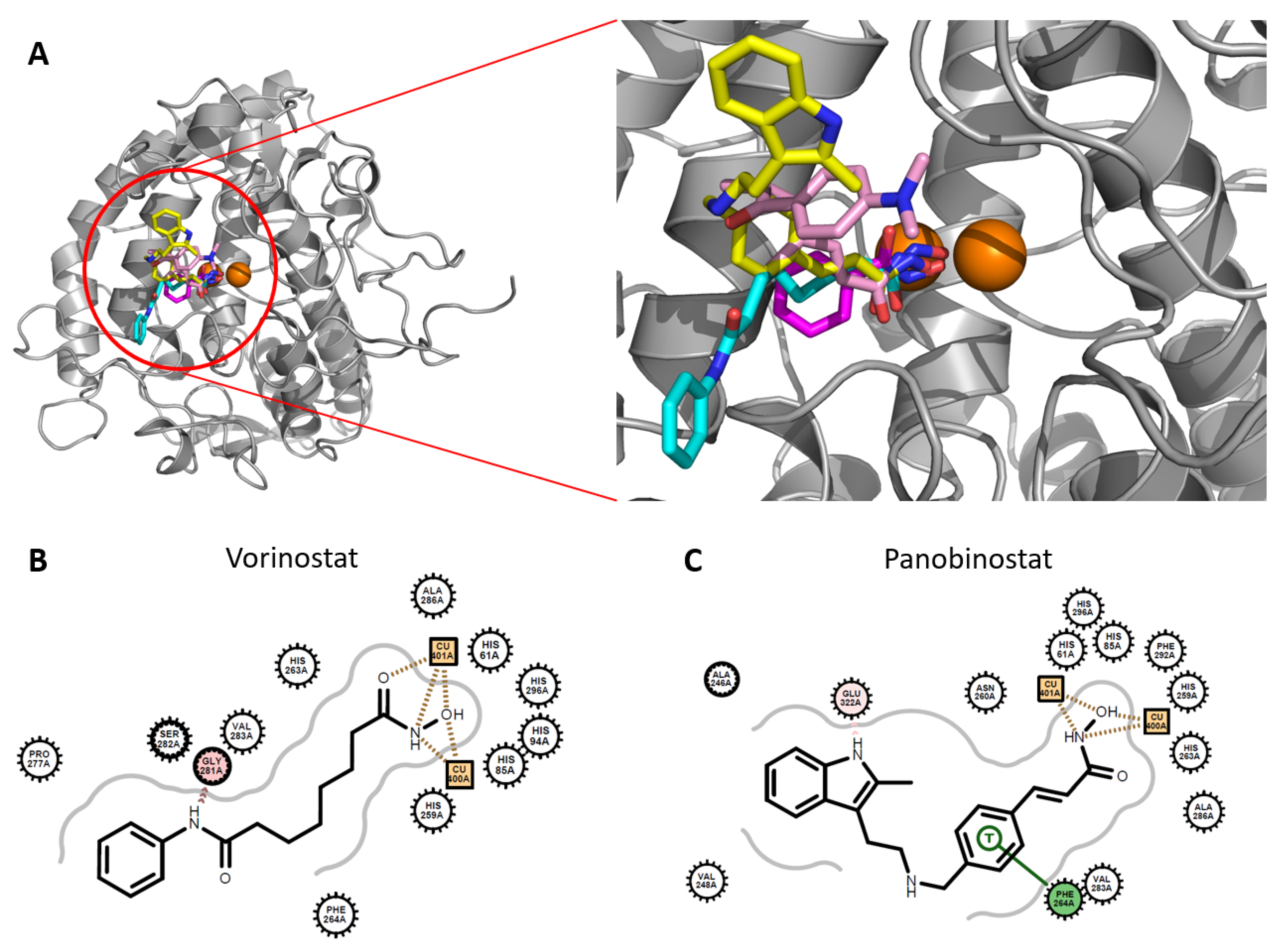 Antioxidants 11 00280 g006