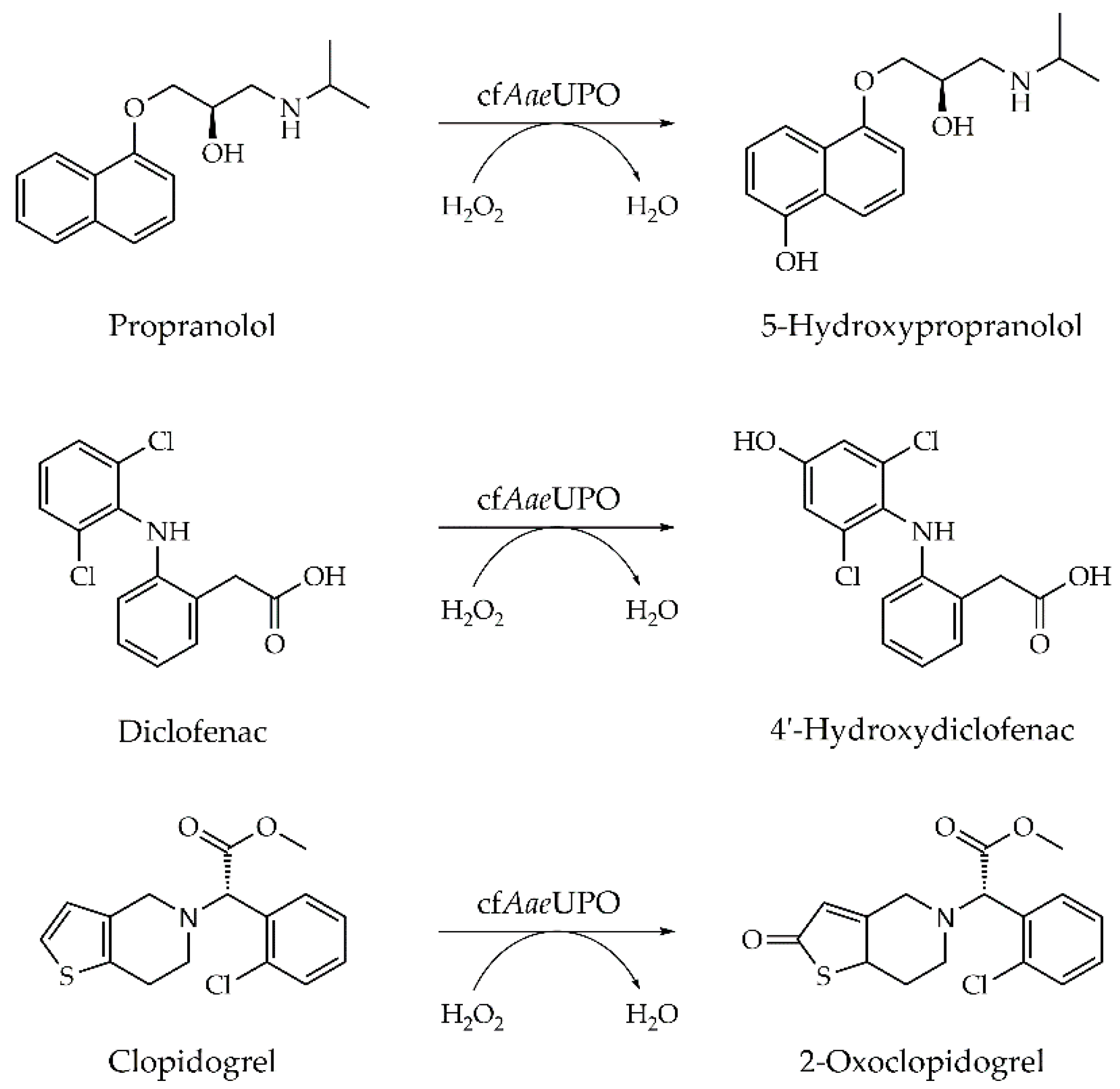 Antioxidants 11 00284 g005