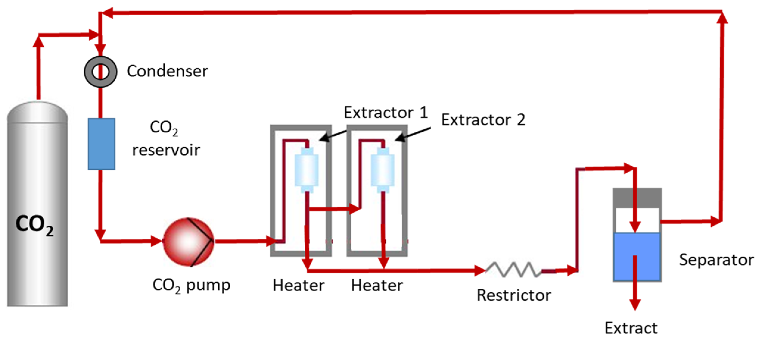 Antioxidants 11 00286 g004