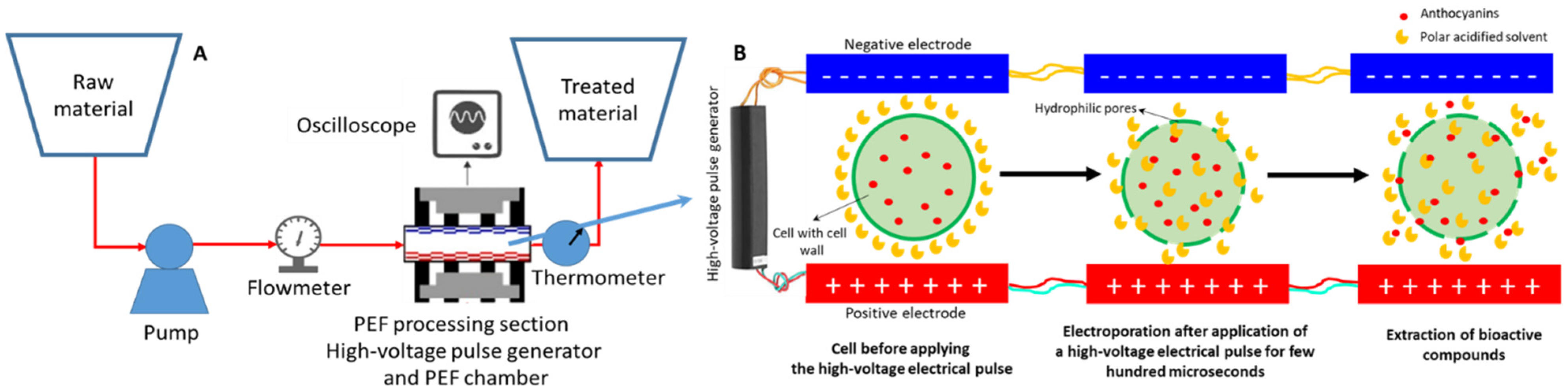 Antioxidants 11 00286 g006