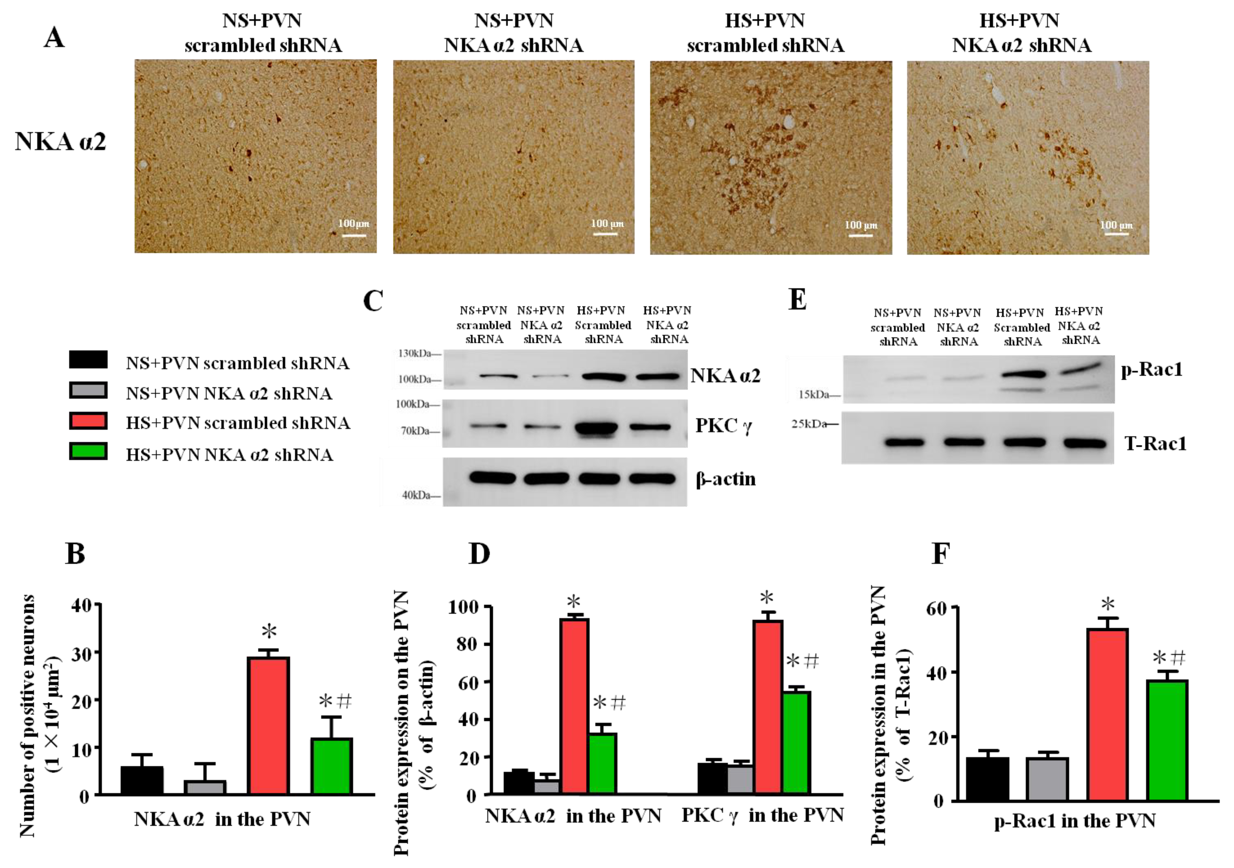 Antioxidants 11 00288 g003