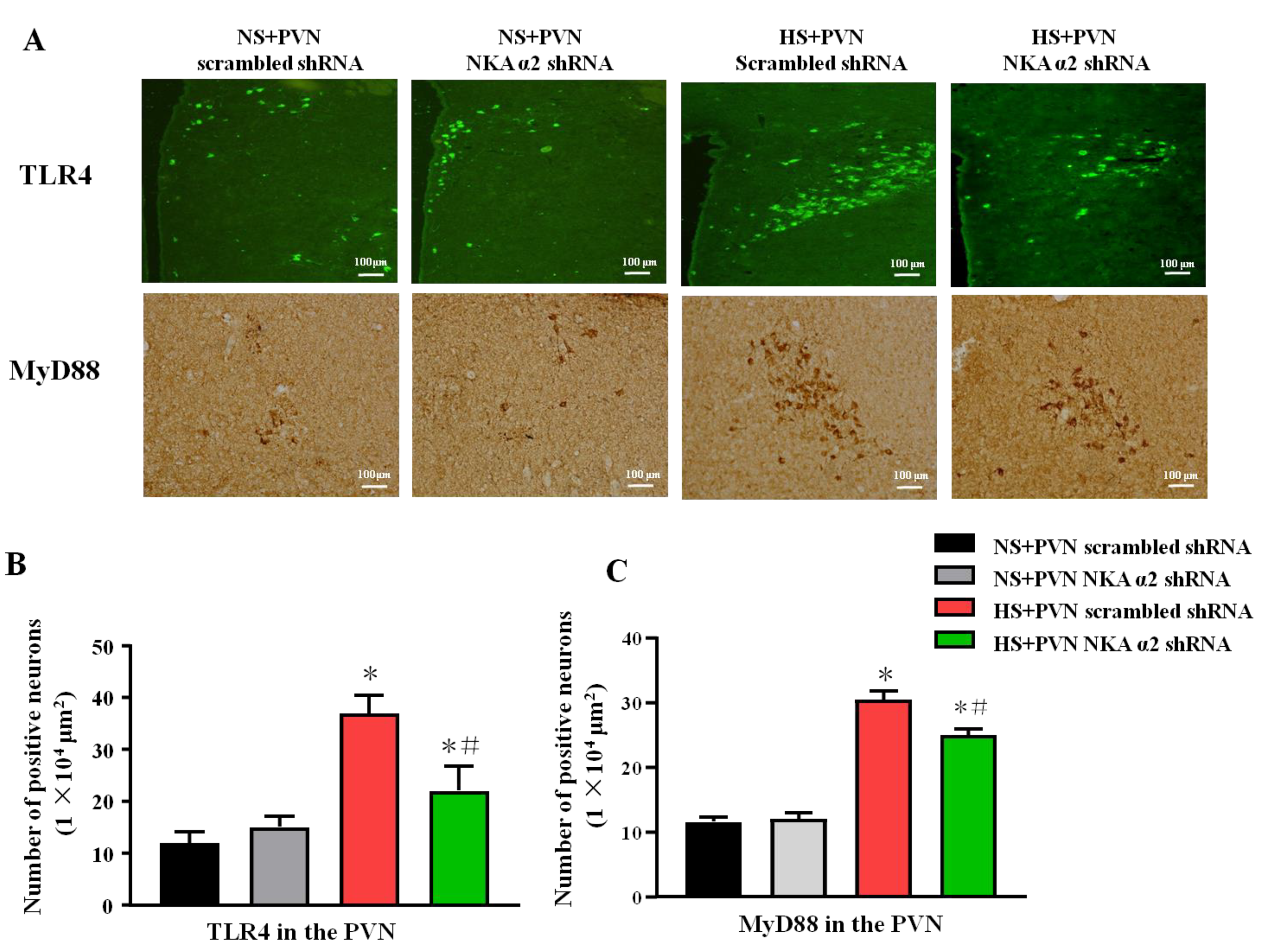Antioxidants 11 00288 g005