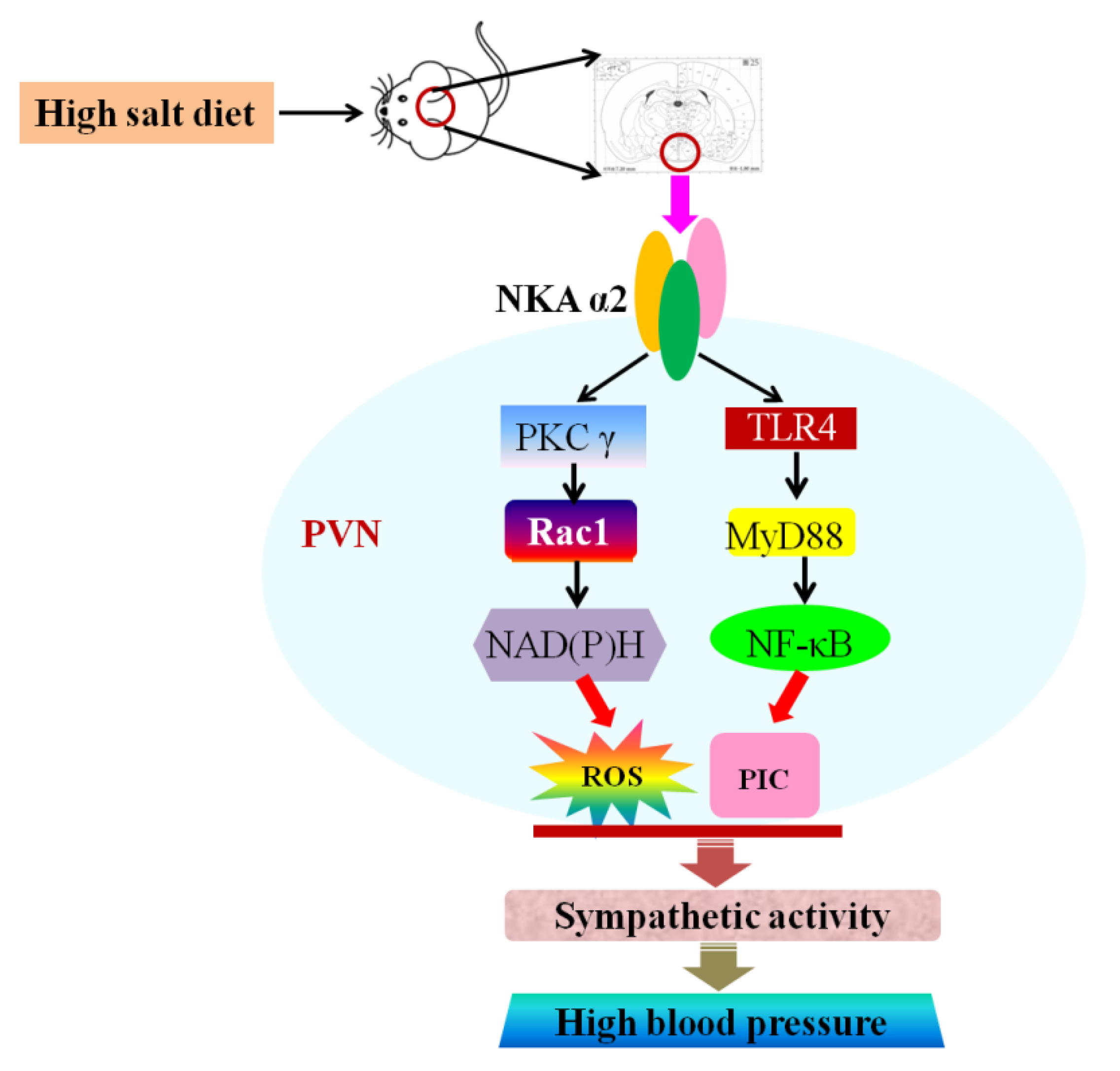 Antioxidants 11 00288 g008