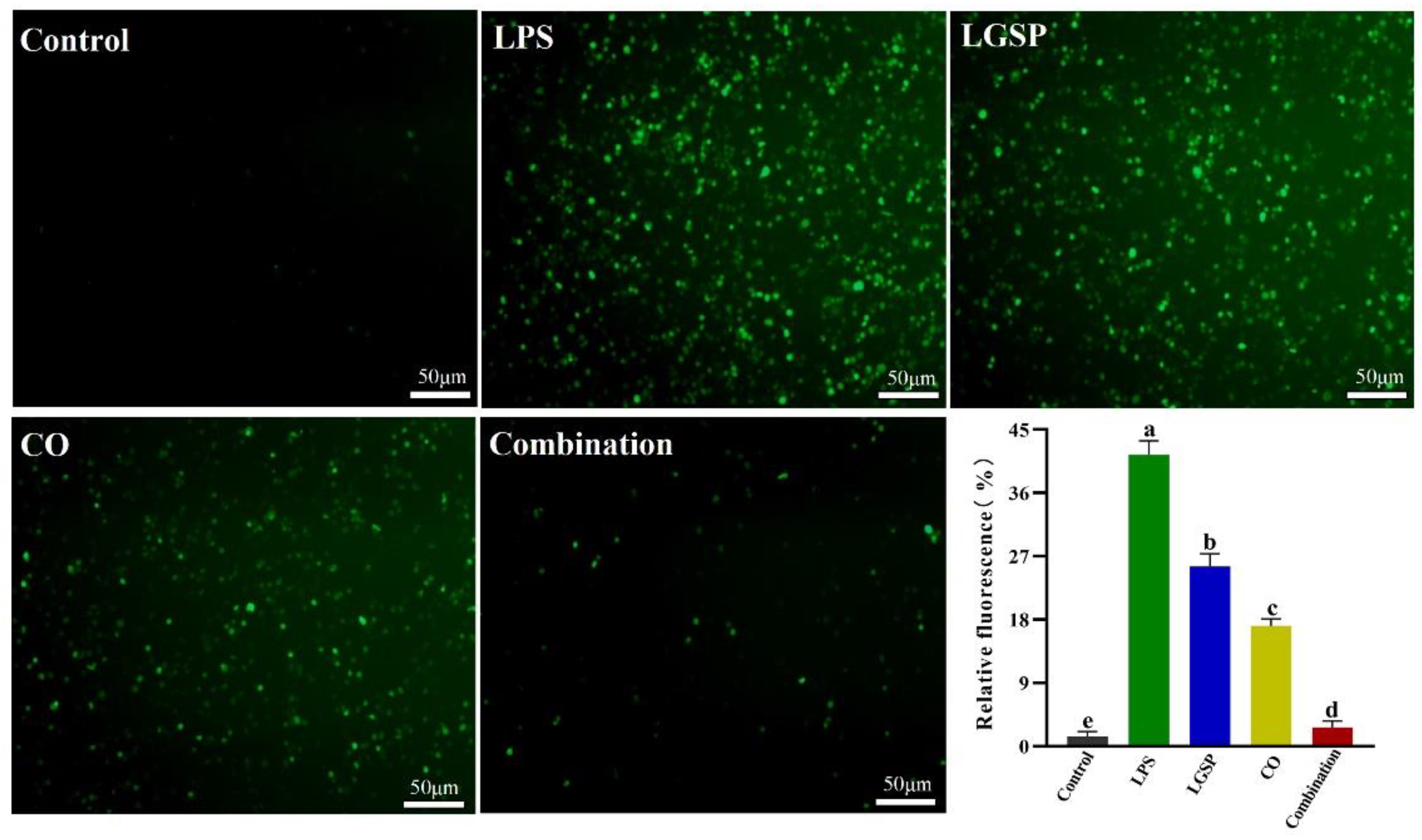 Antioxidants 11 00289 g005