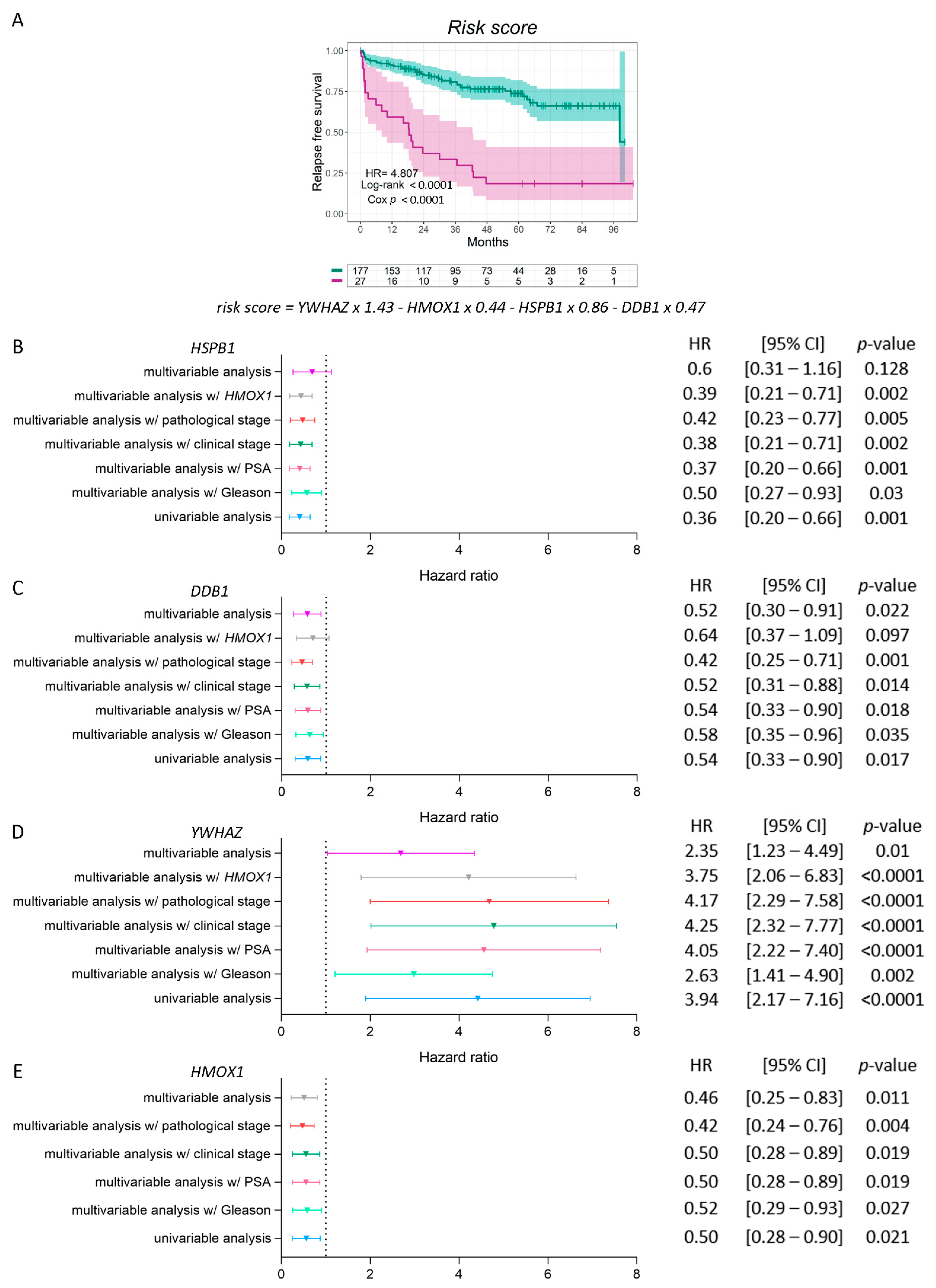 Antioxidants 11 00290 g005