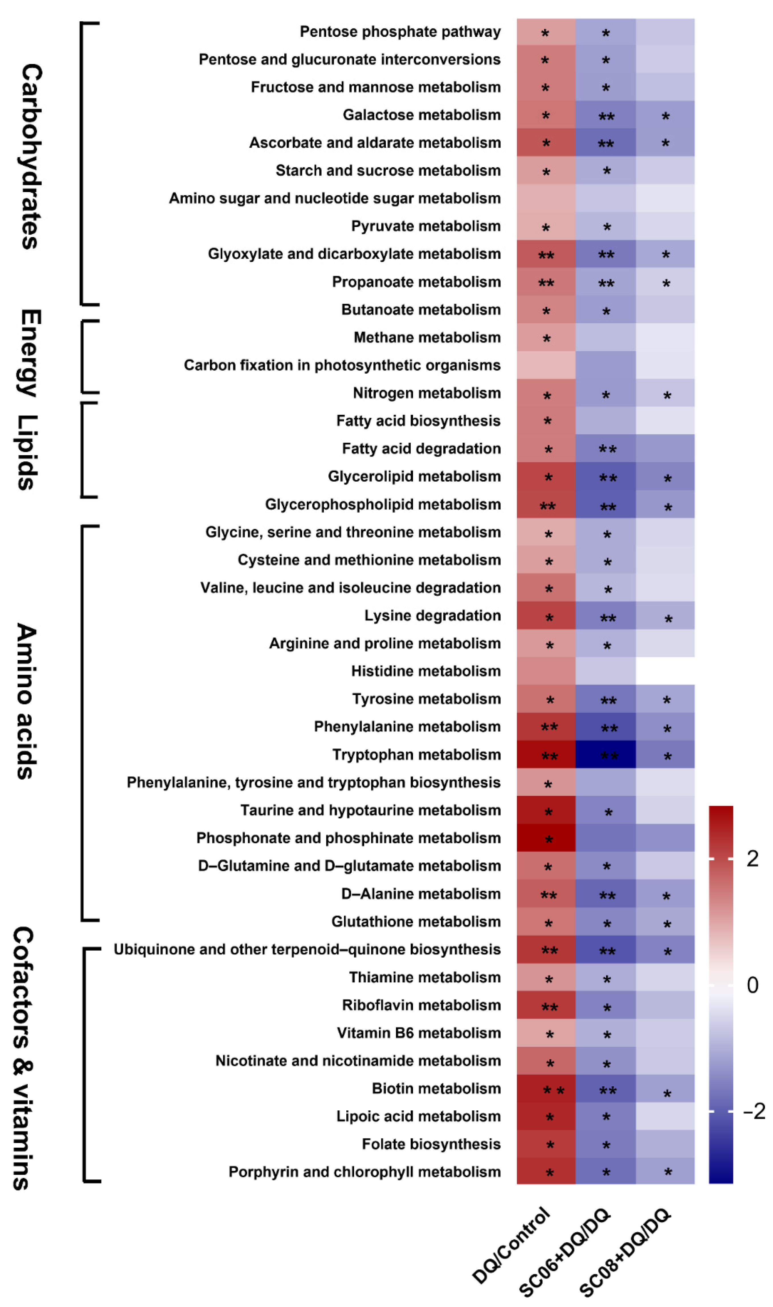 Antioxidants 11 00291 g009