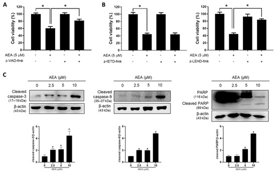 Antioxidants 11 00293 g003 550